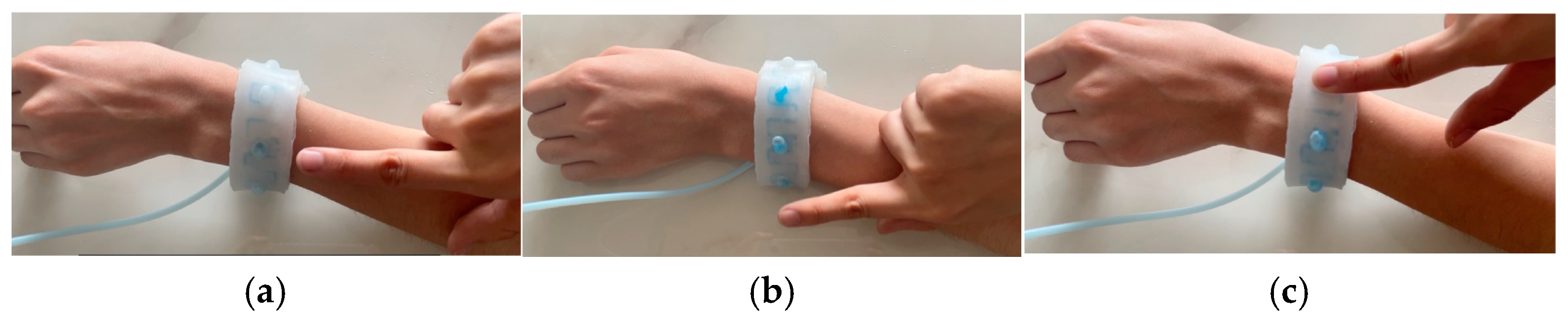Preprints 143706 g004