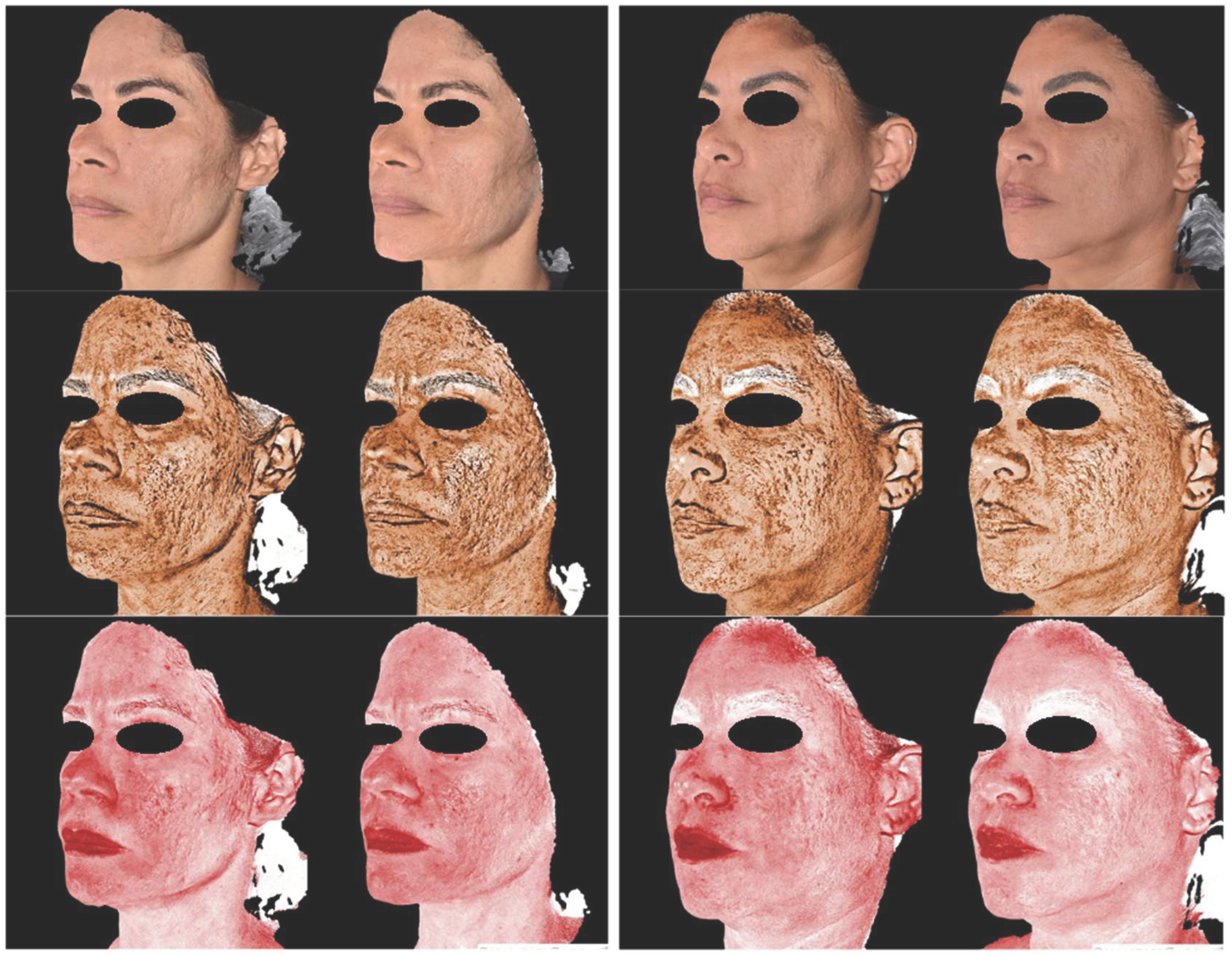 Preprints 159159 g002