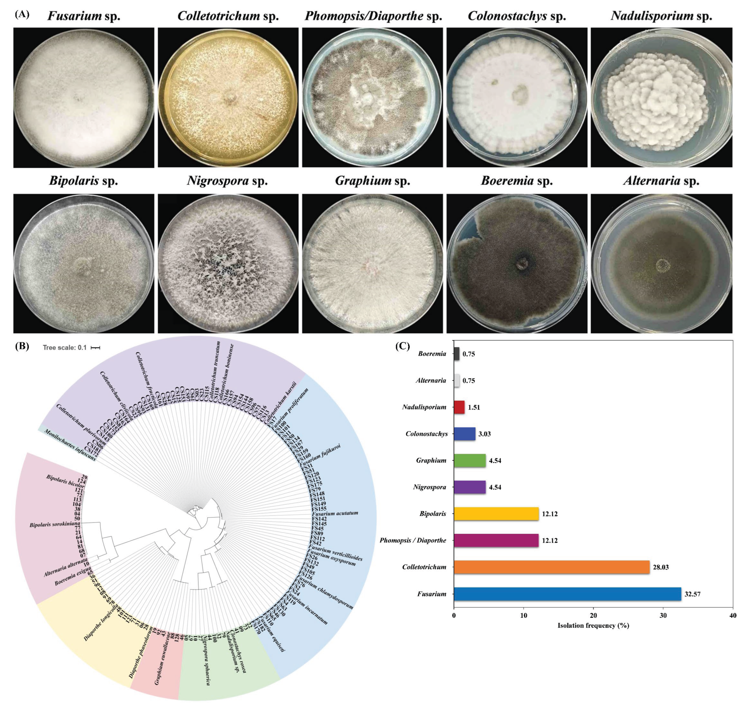 Preprints 172448 g001