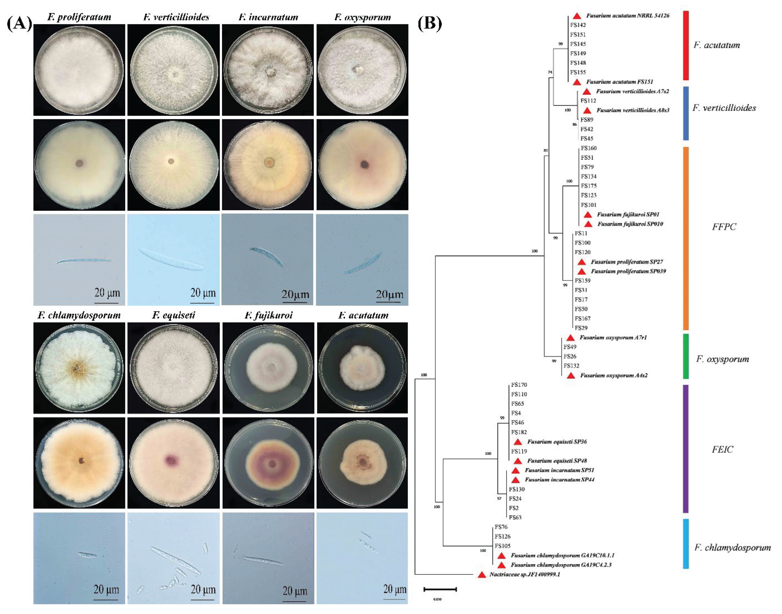 Preprints 172448 g002