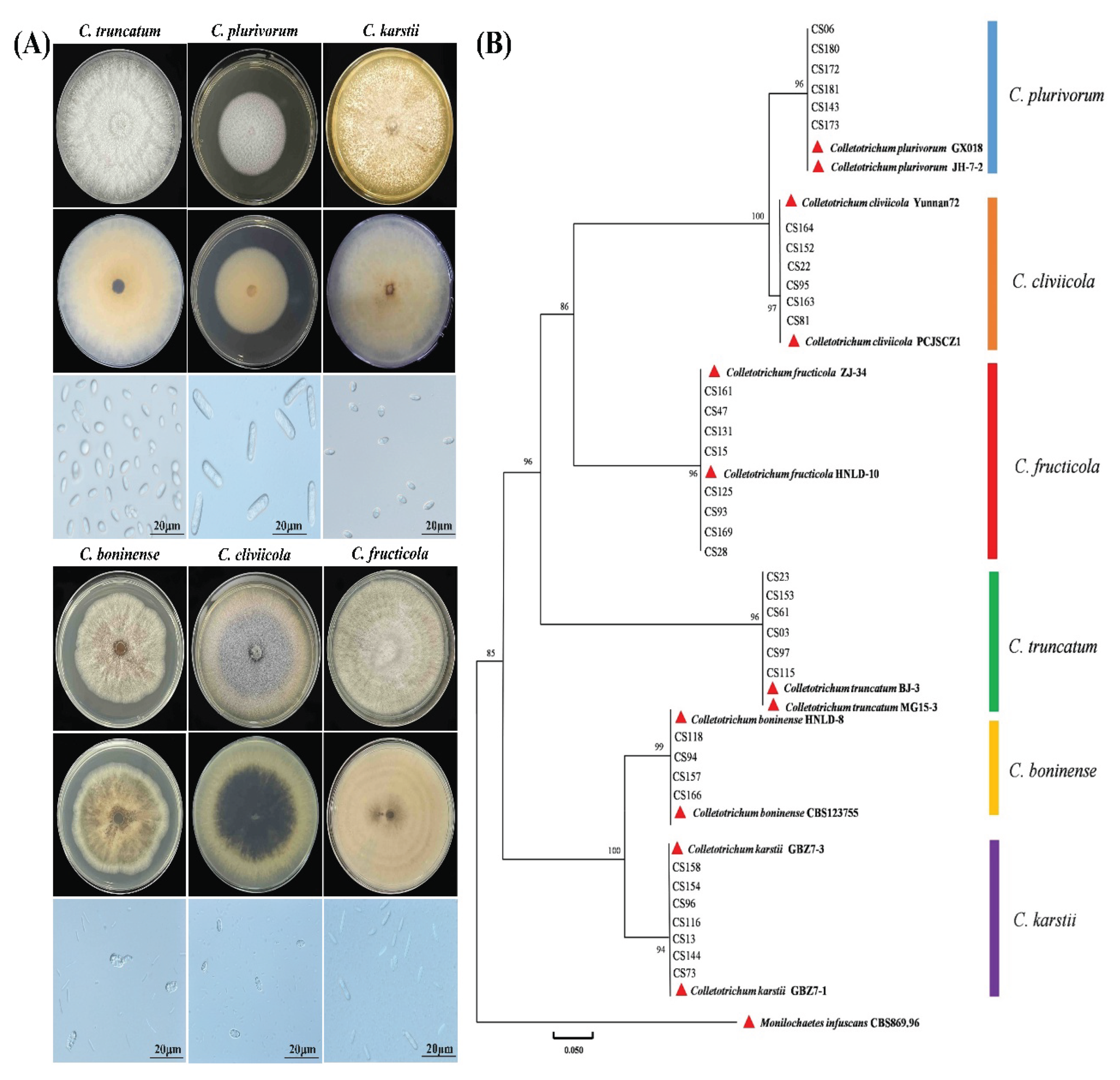 Preprints 172448 g003