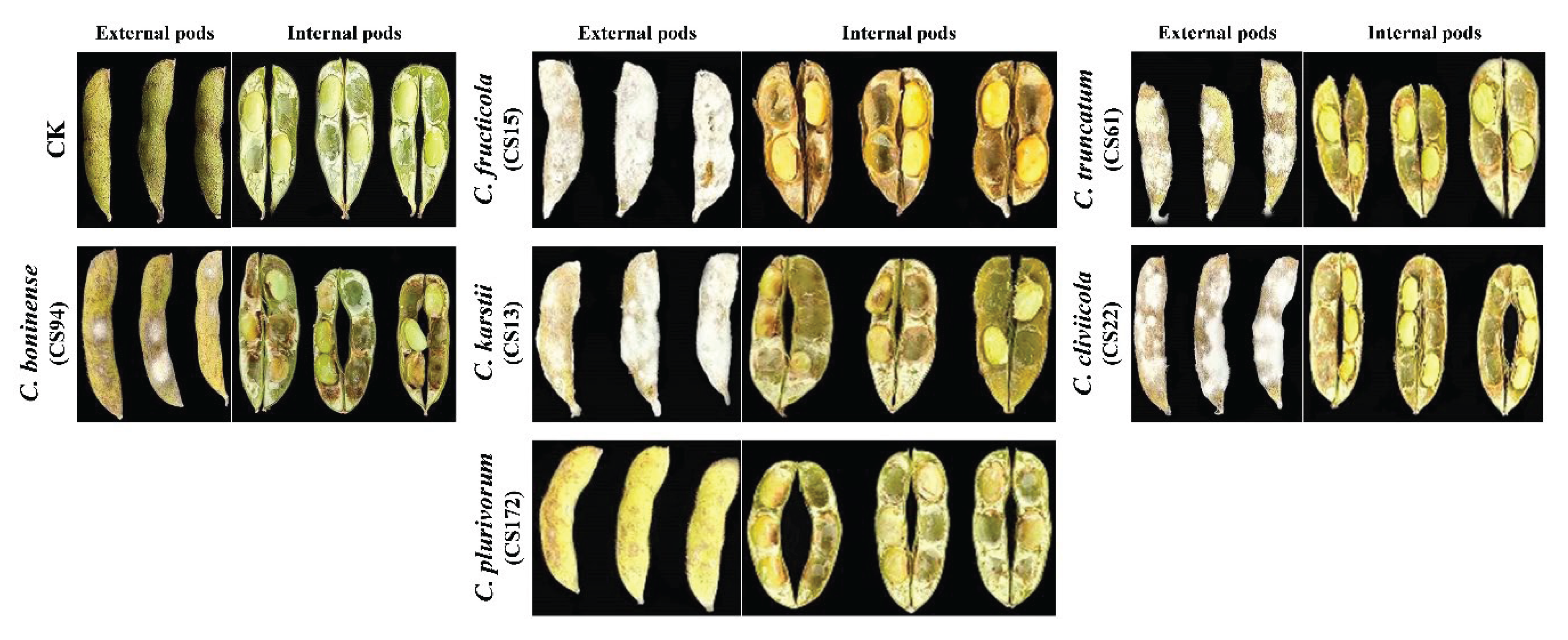 Preprints 172448 g006