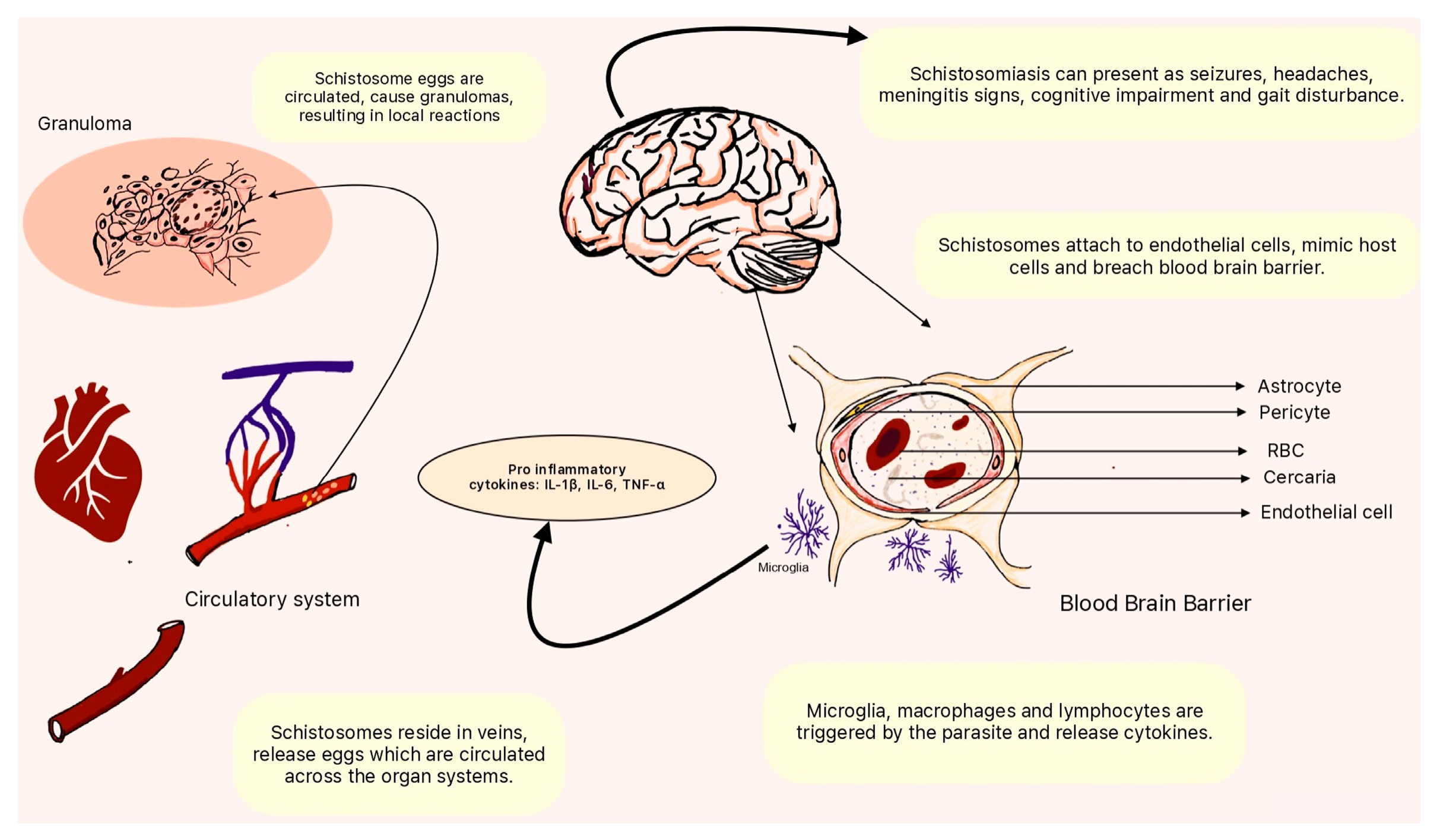 Preprints 142190 g002