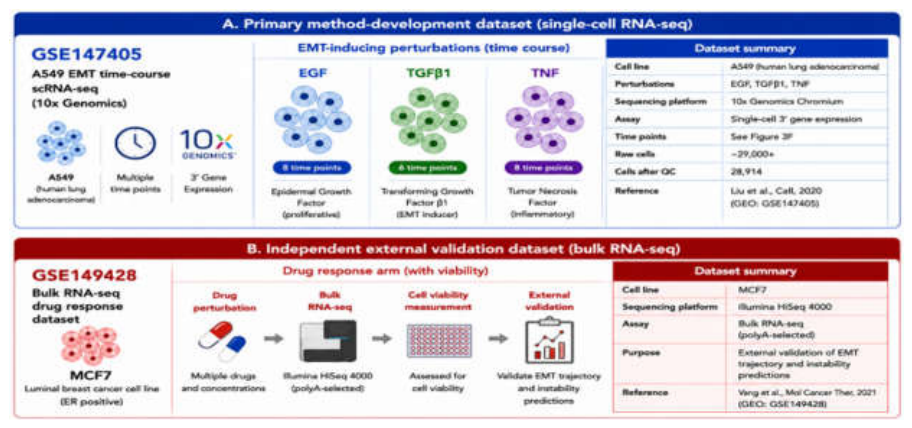 Preprints 226146 g002