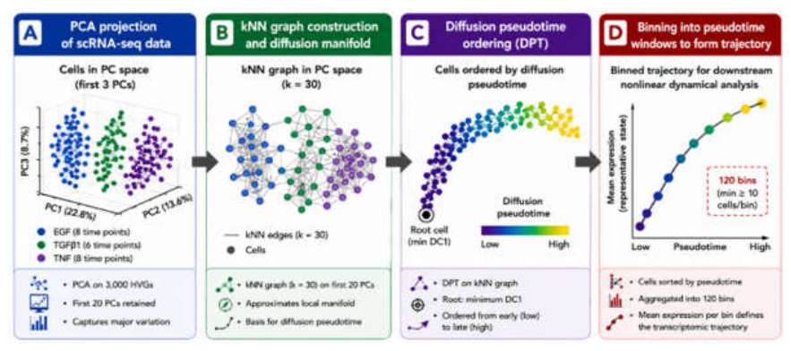 Preprints 226146 g004