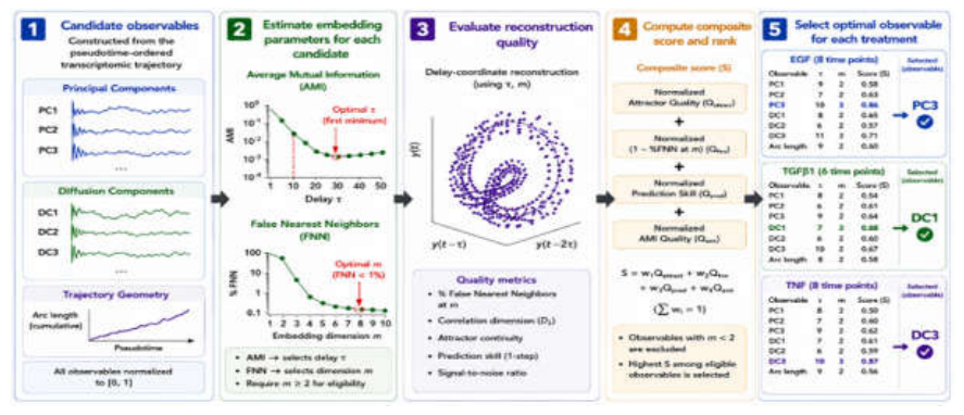 Preprints 226146 g005