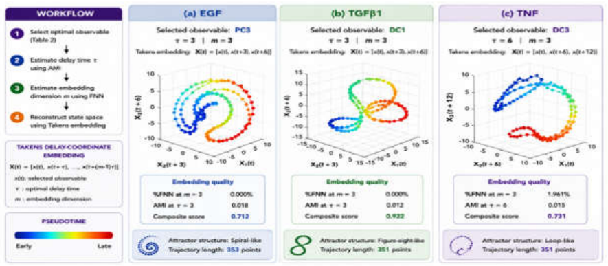 Preprints 226146 g006