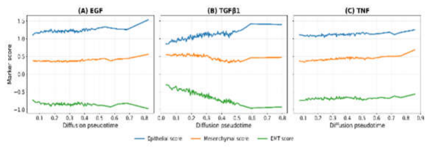 Preprints 226146 g012
