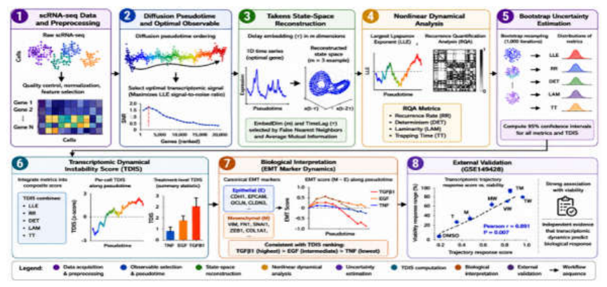 Preprints 226146 g016