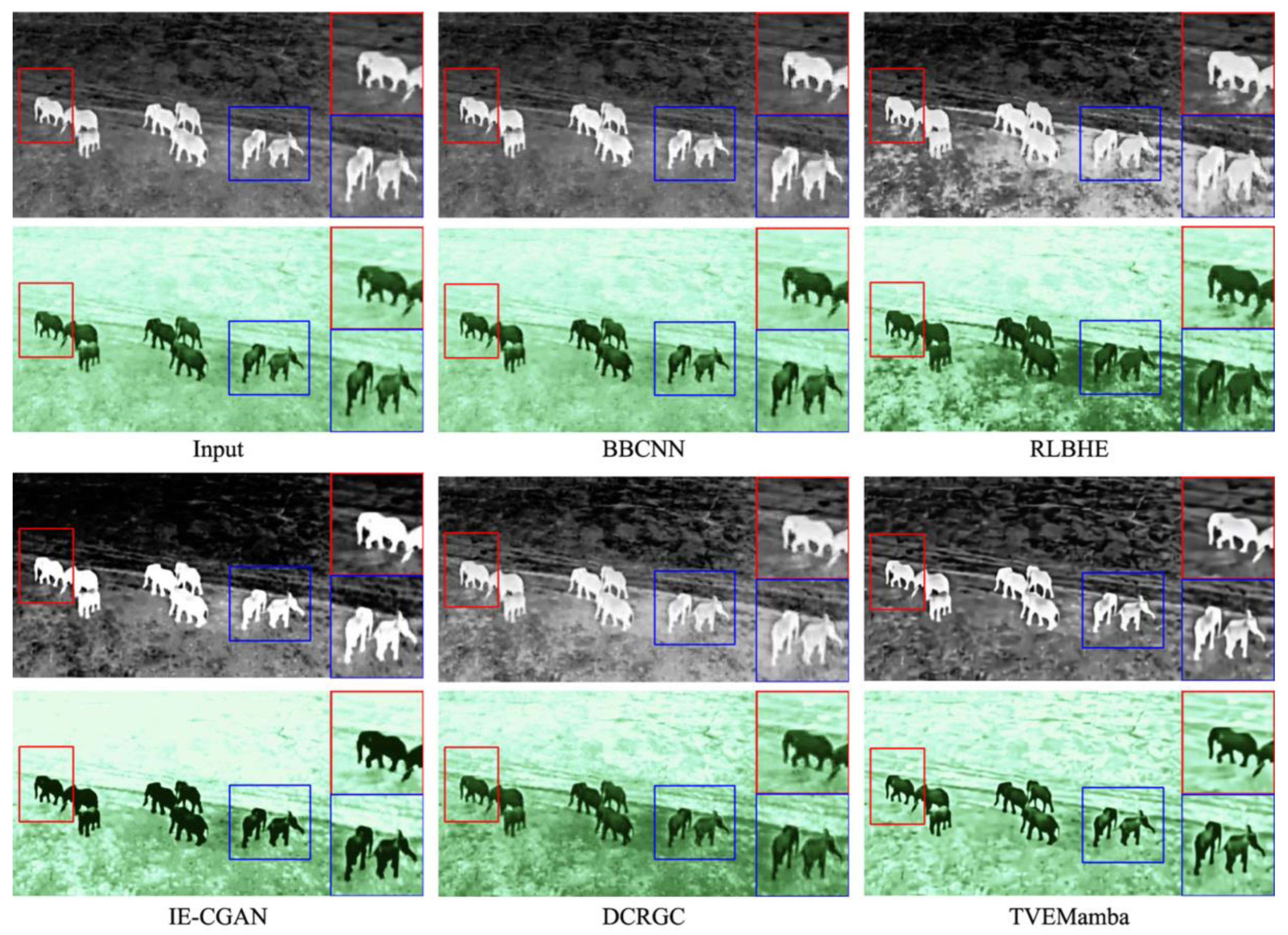 Preprints 143938 g005