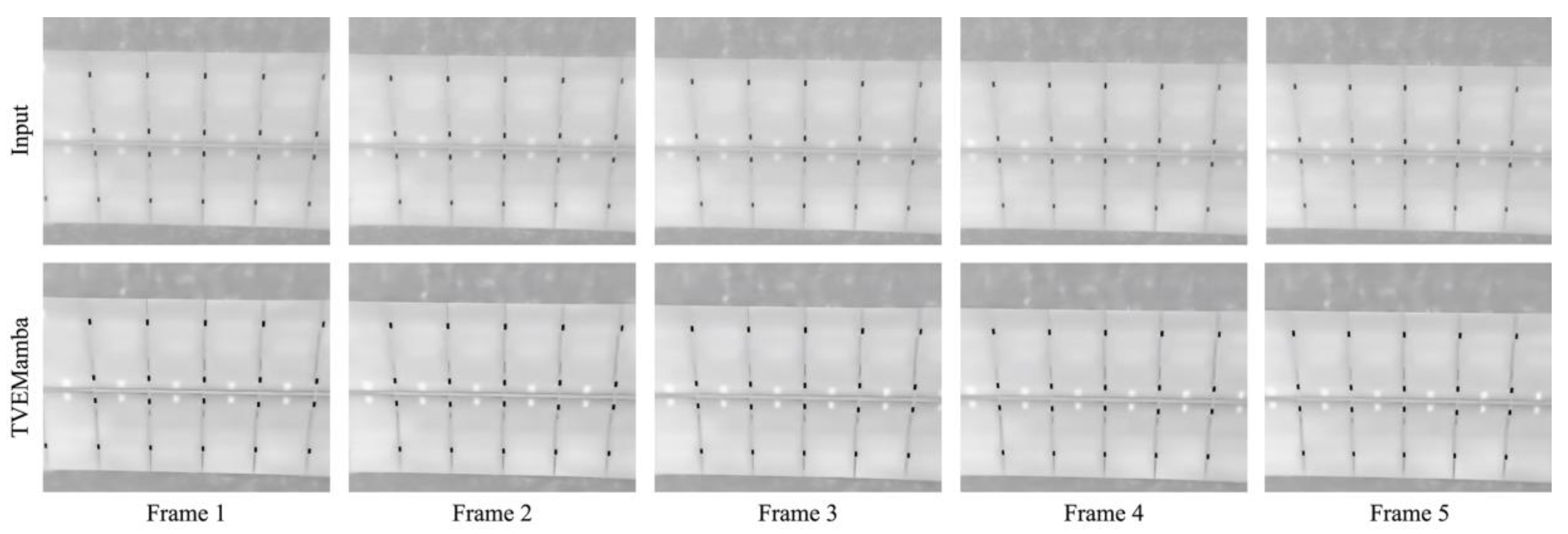 Preprints 143938 g006