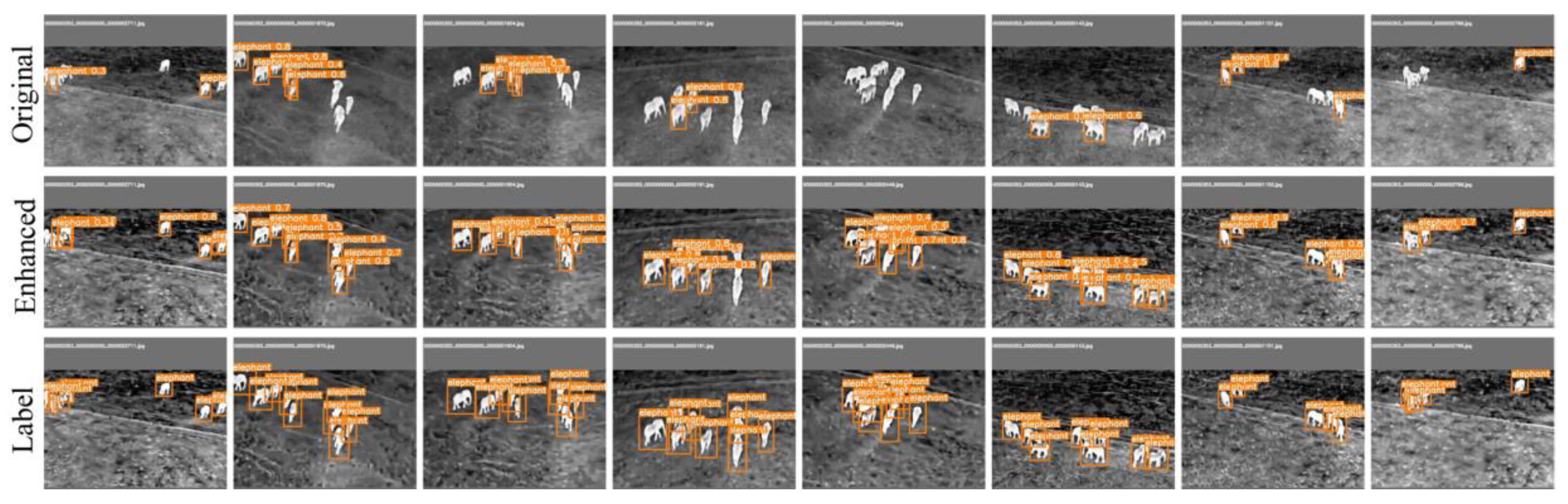 Preprints 143938 g009