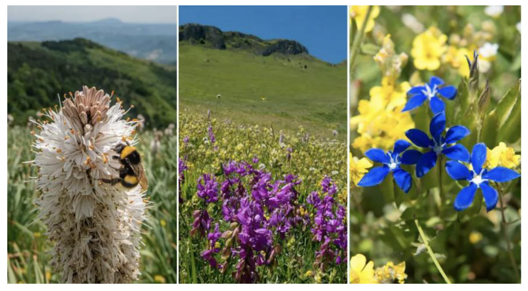 Preprints 207154 g002 Preprints 207154 g002