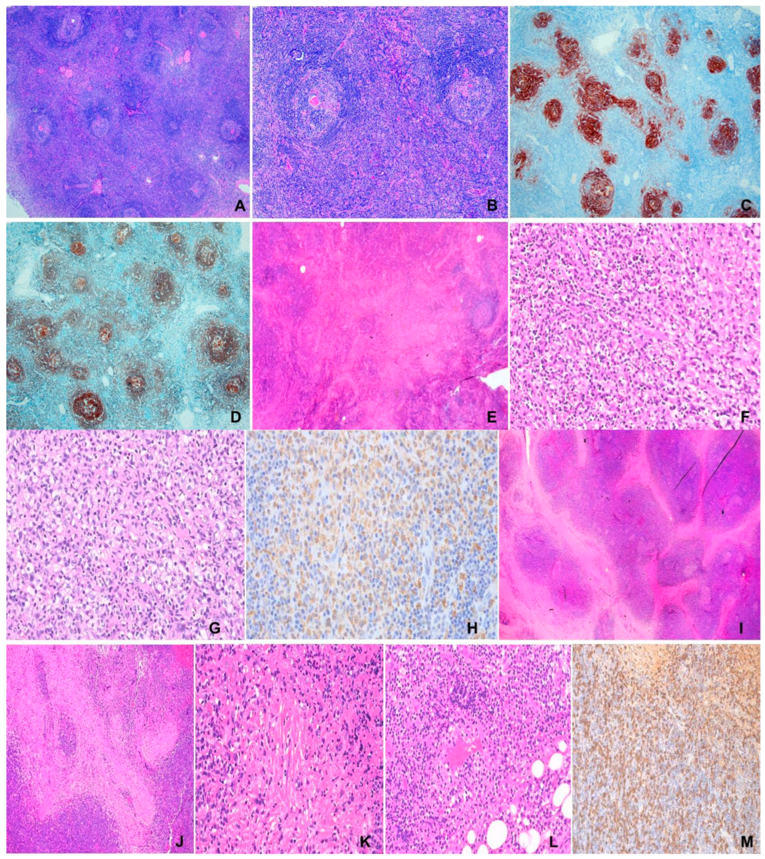 Preprints 148975 g001