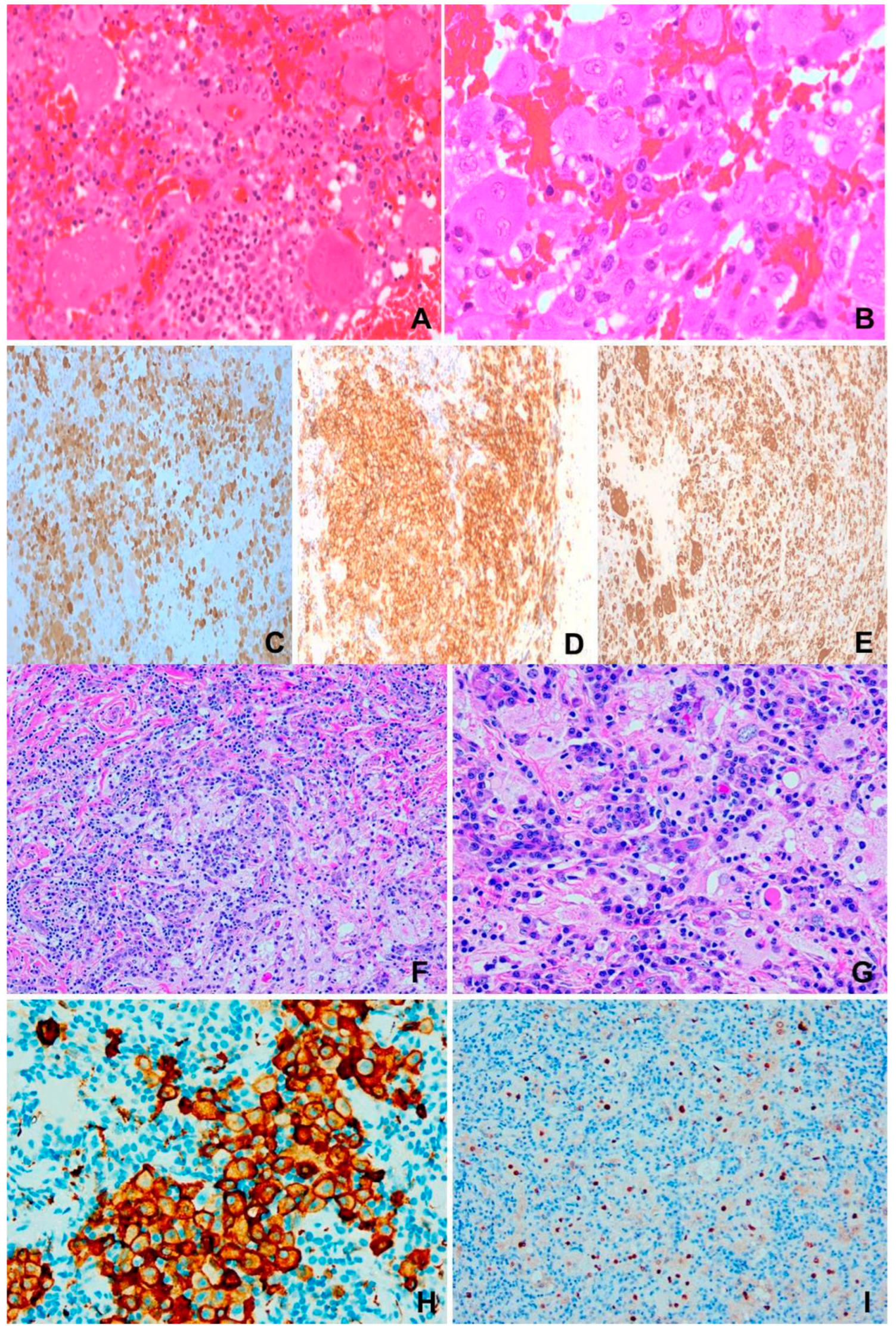 Preprints 148975 g002