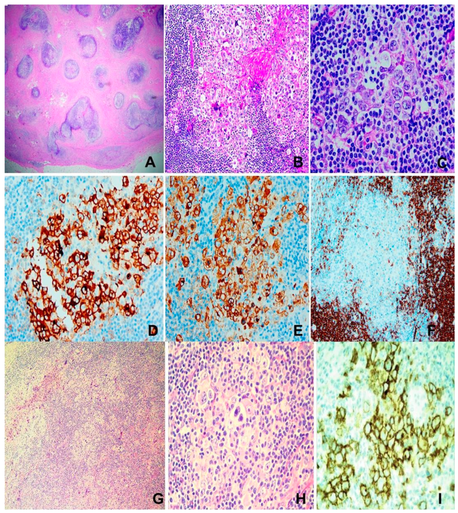Preprints 148975 g003