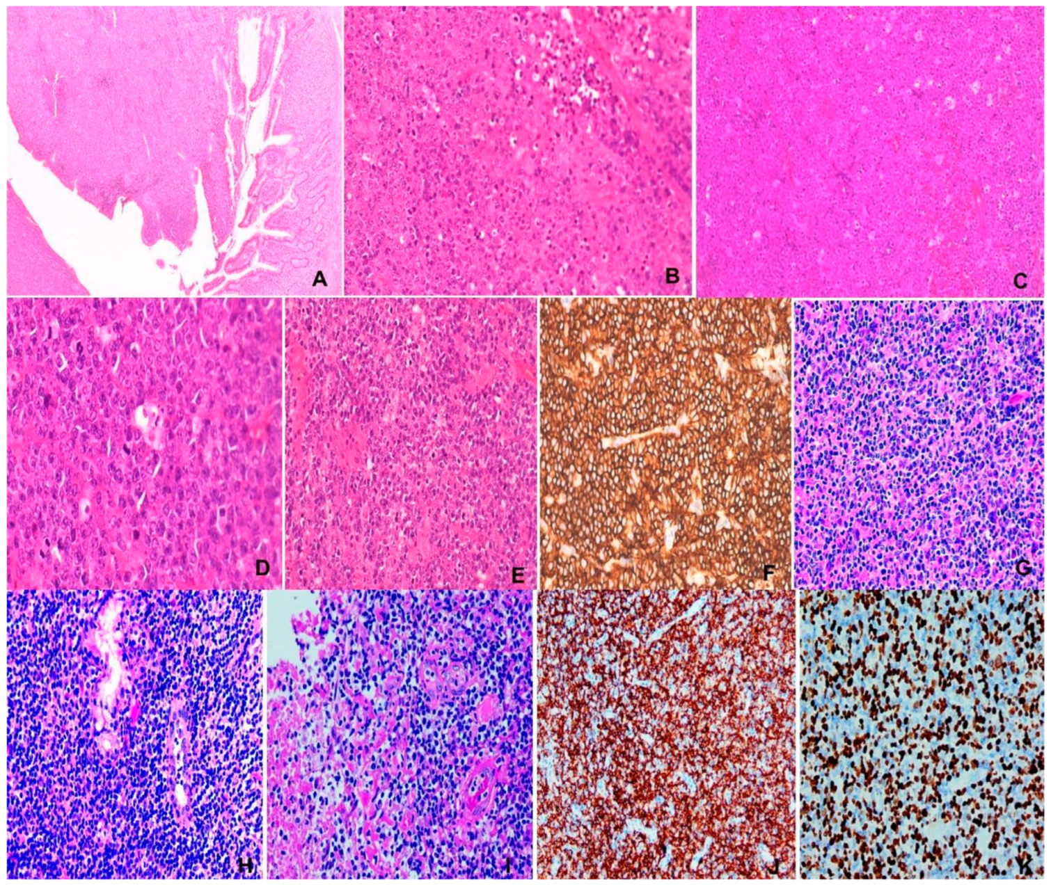 Preprints 148975 g004