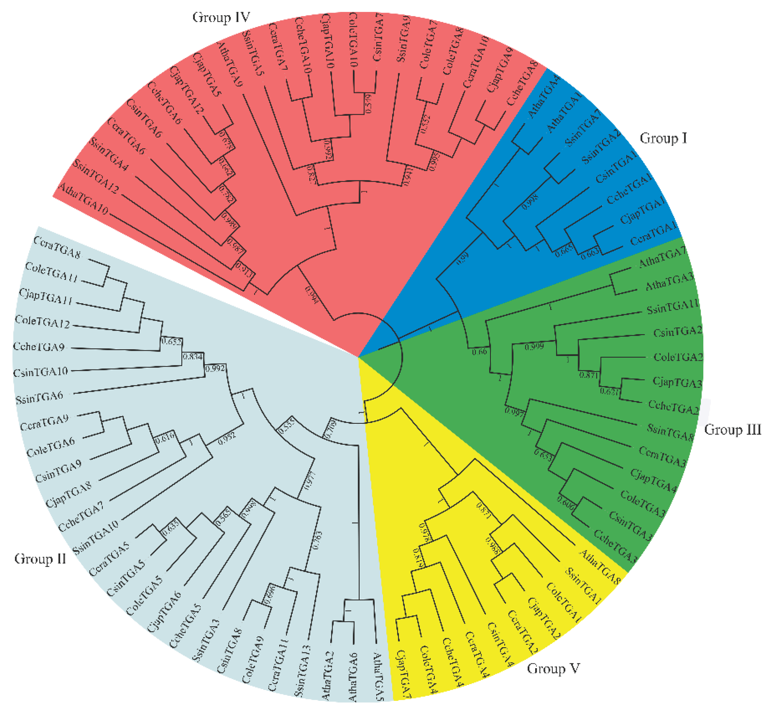Preprints 237367 g001