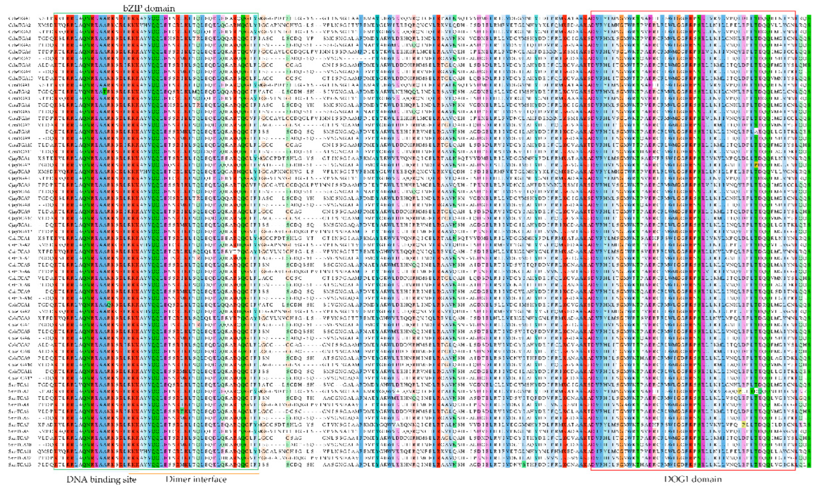 Preprints 237367 g002