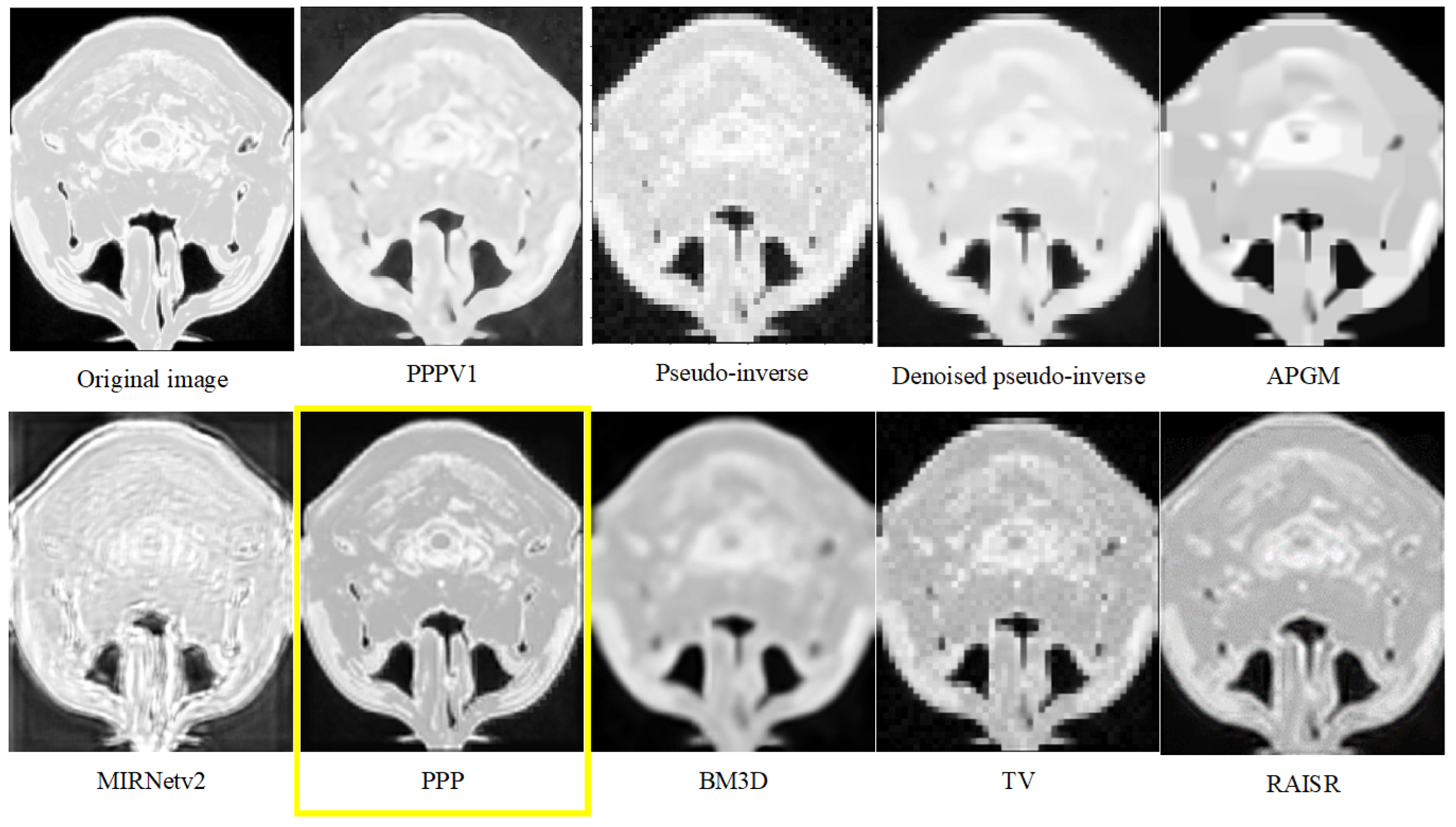Preprints 121418 g001