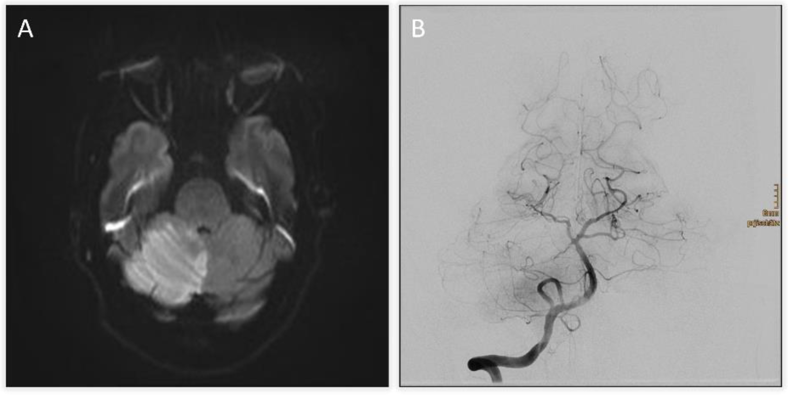 Preprints 182710 g001
