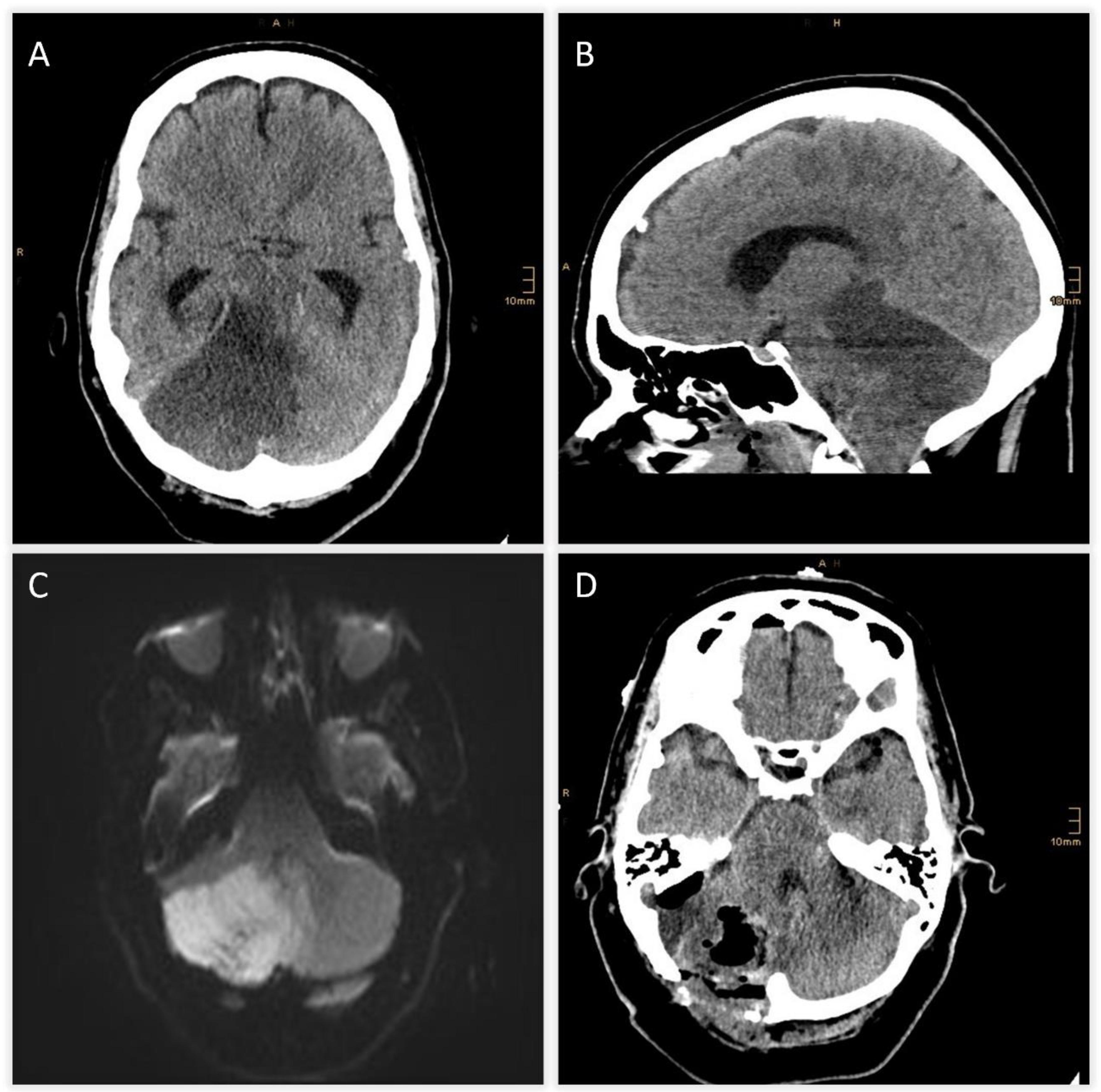 Preprints 182710 g002