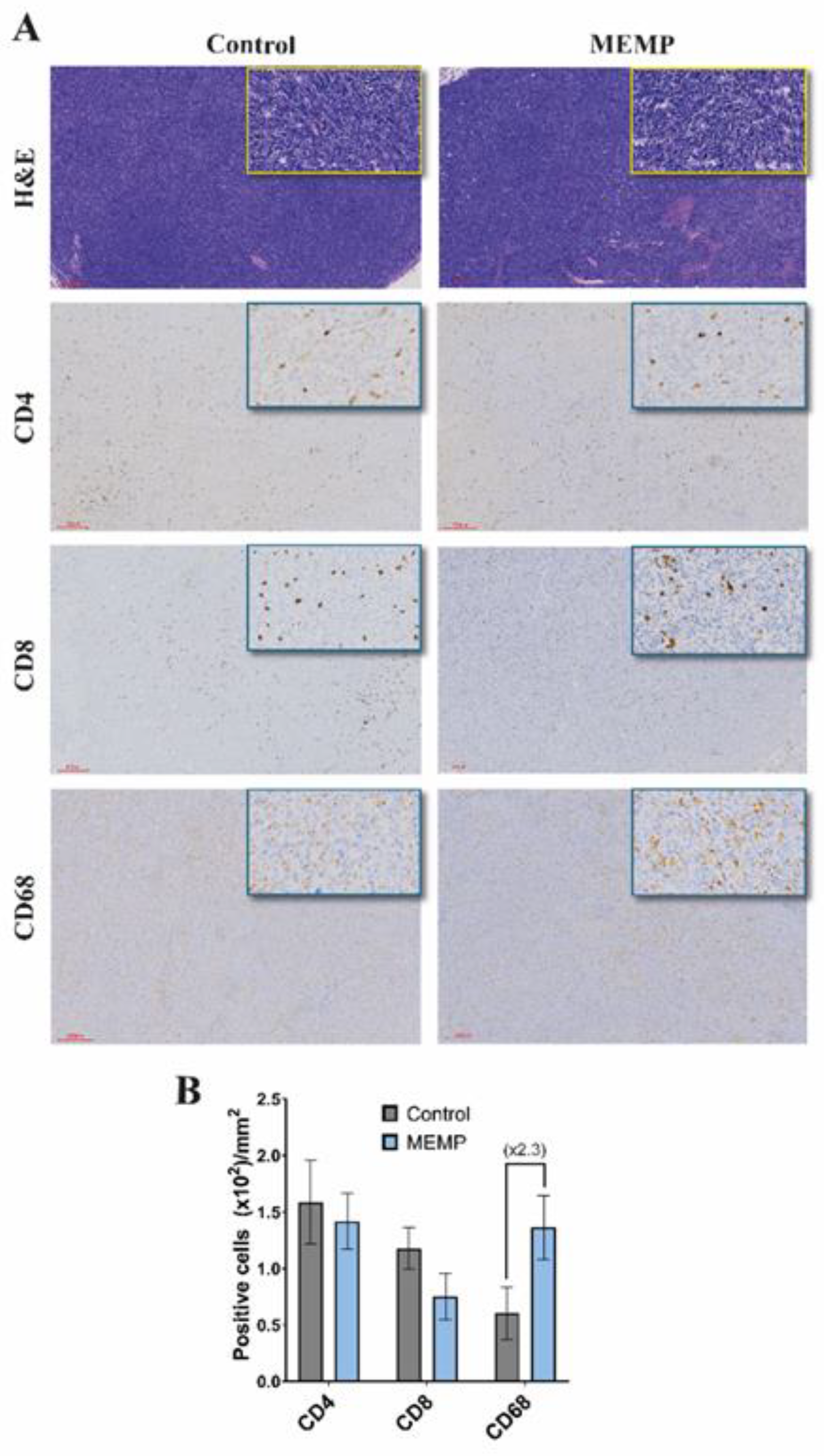 Preprints 182574 g002
