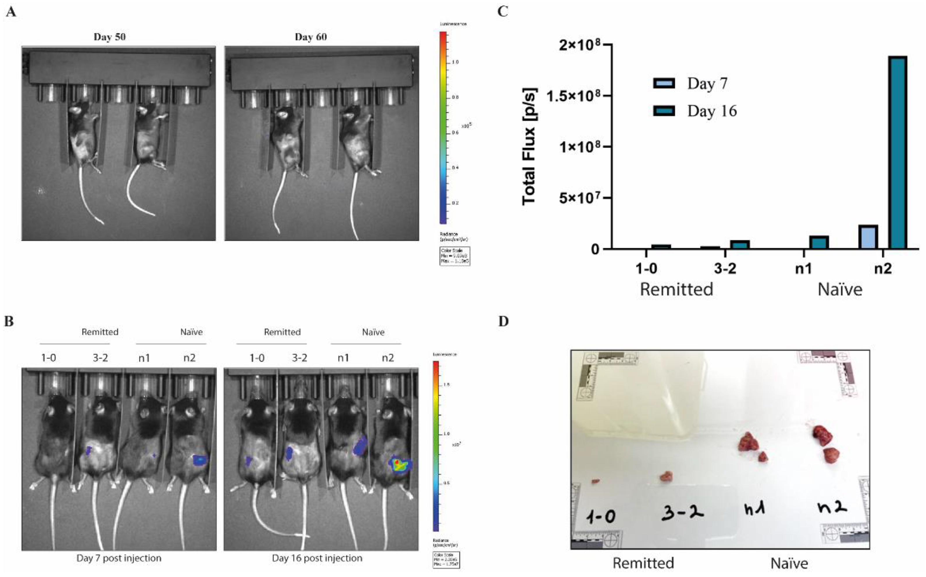 Preprints 182574 g003