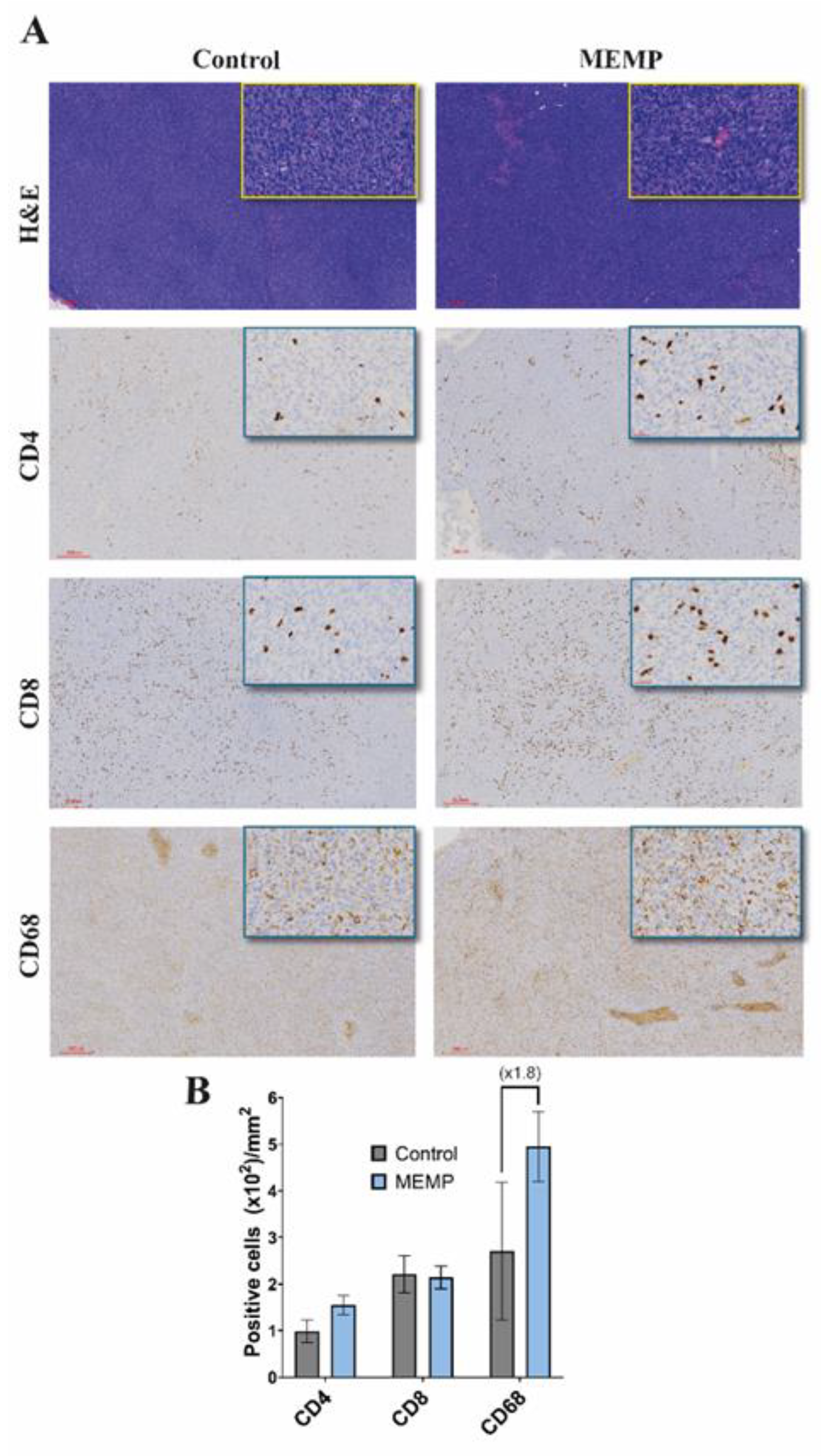 Preprints 182574 g005