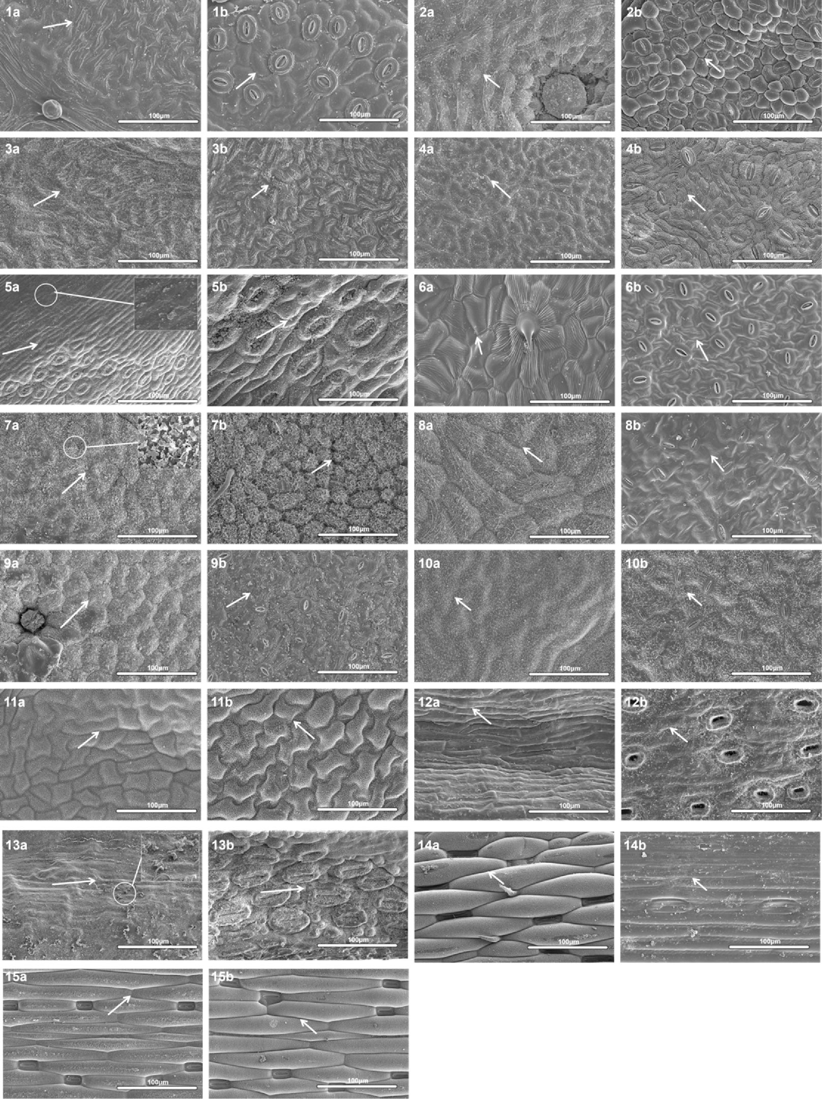 Preprints 197831 g009