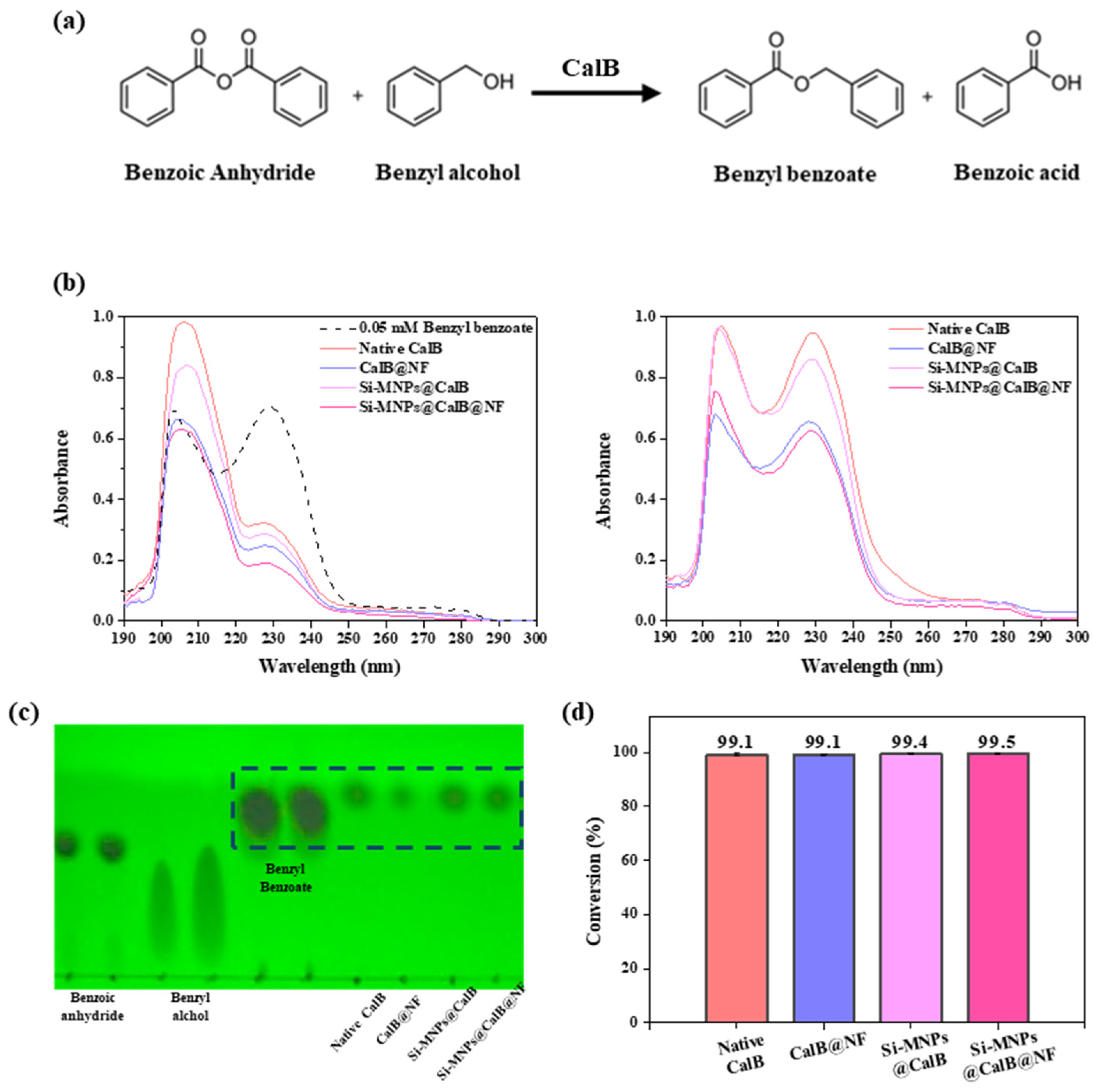 Preprints 114722 g003