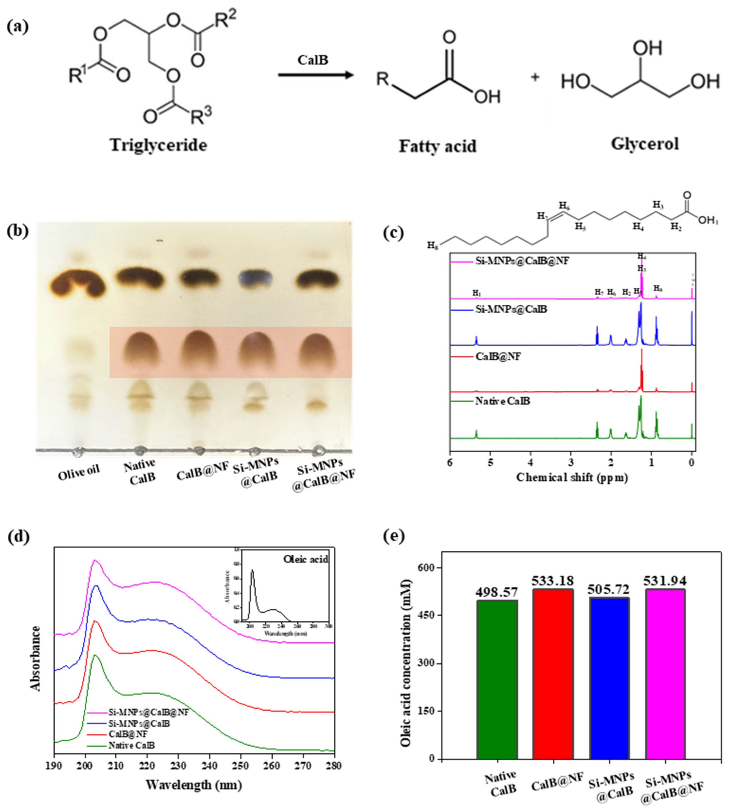 Preprints 114722 g004