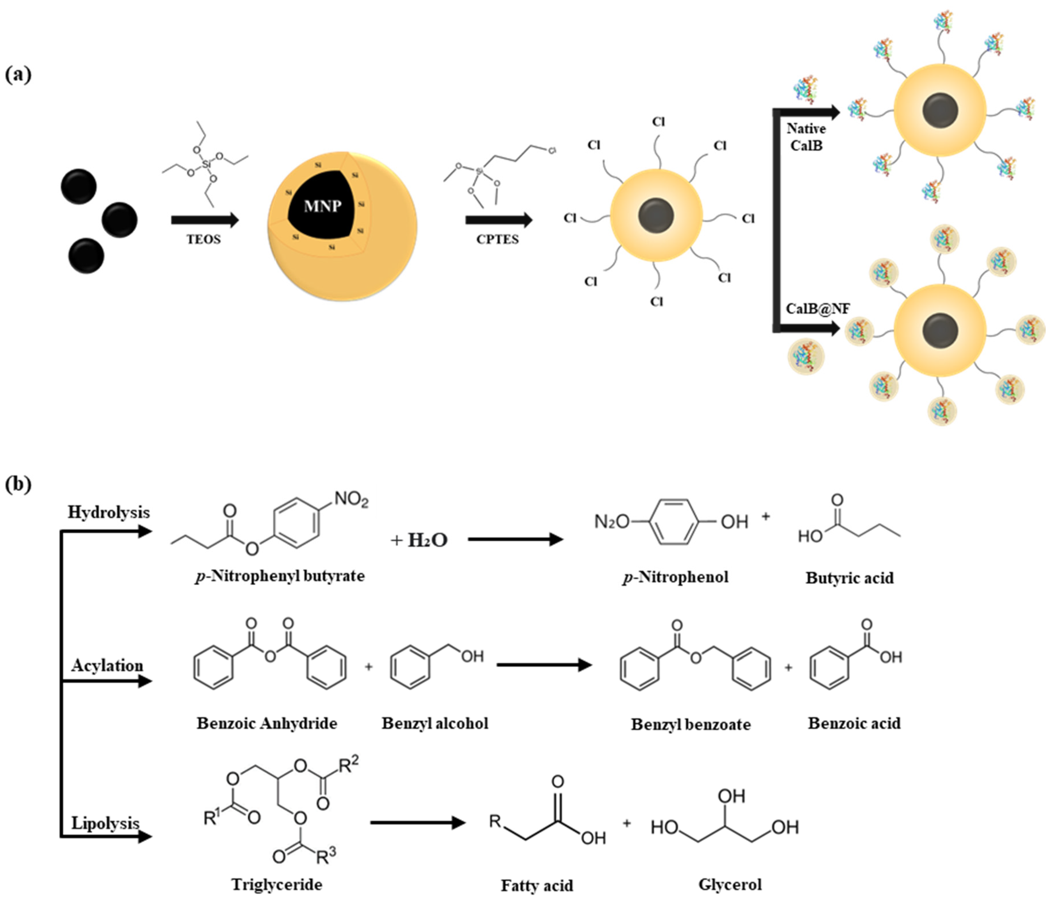 Preprints 114722 sch001