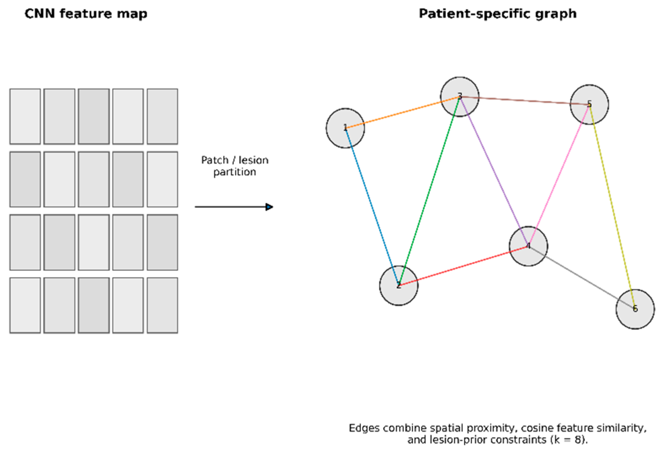Preprints 229049 g003