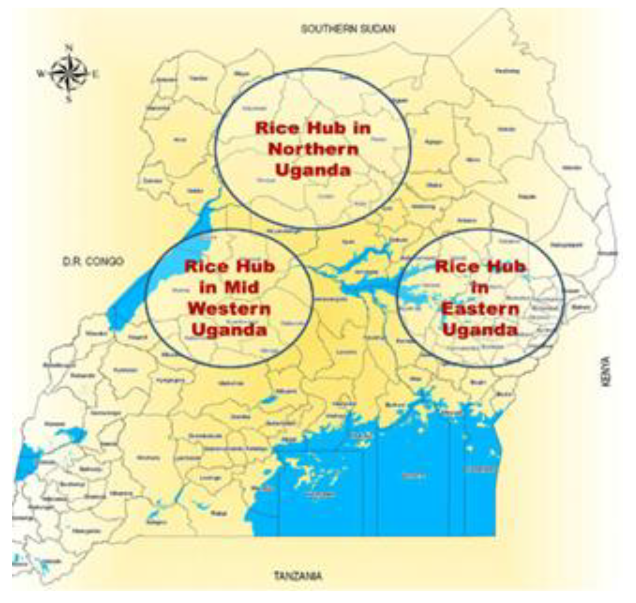 Preprints 161129 g002