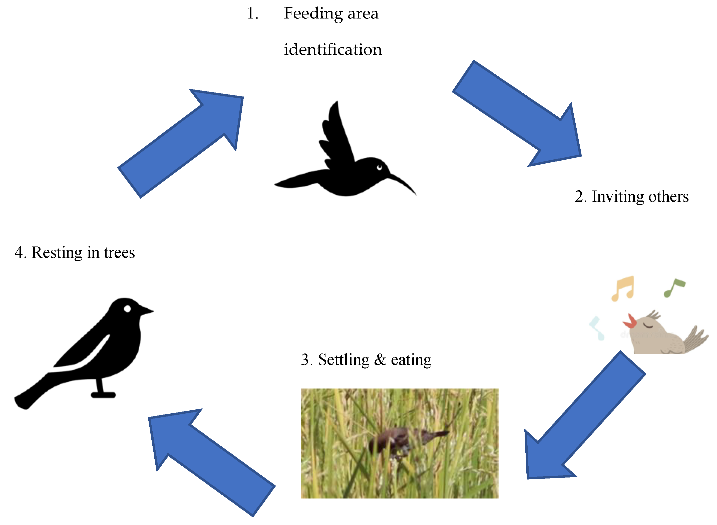 Preprints 161129 g005