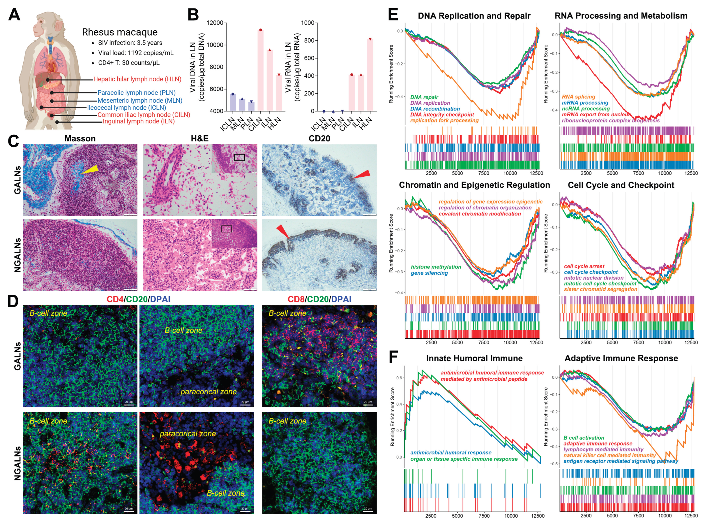 Preprints 218062 g001