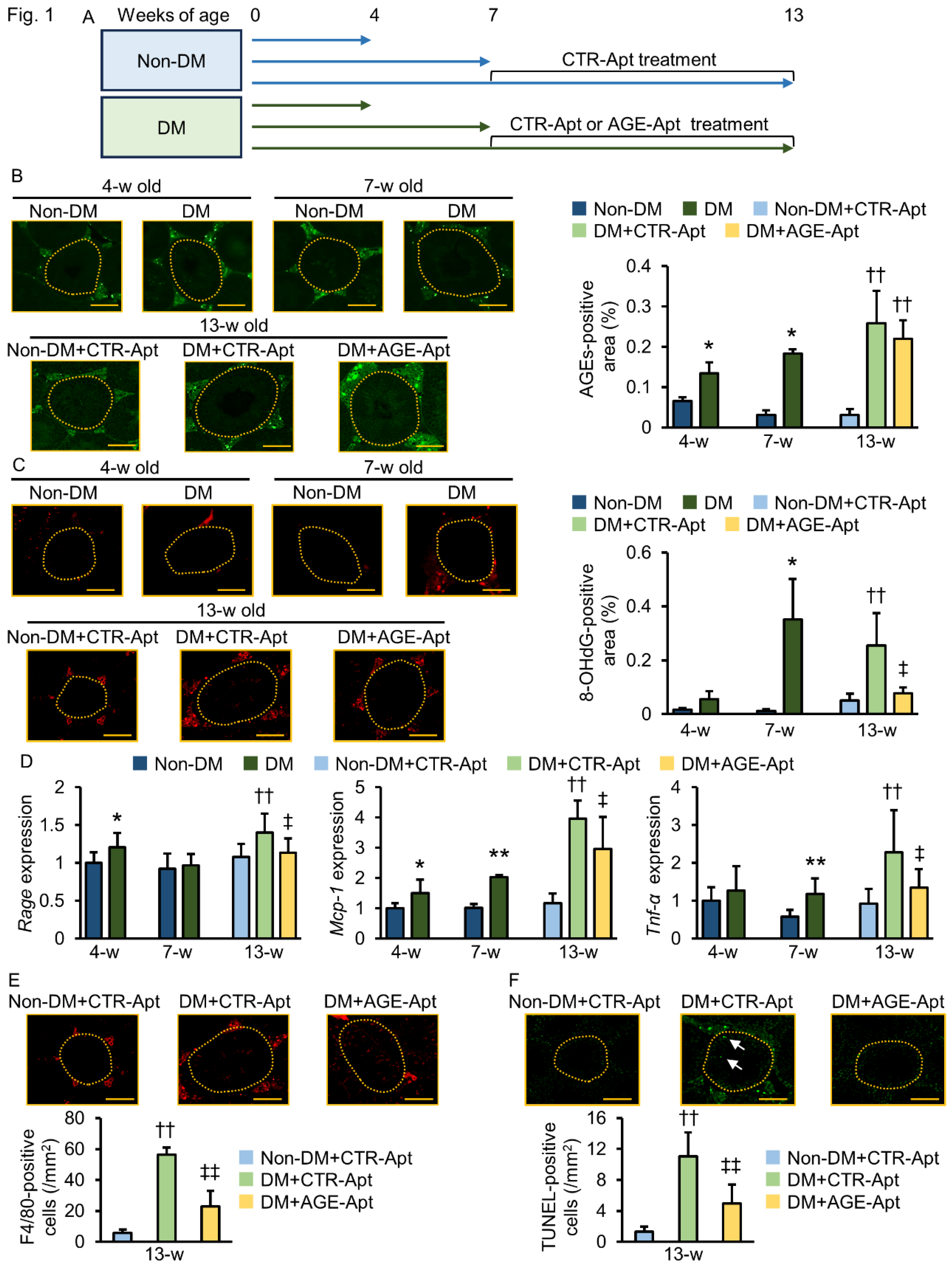 Preprints 105130 g001