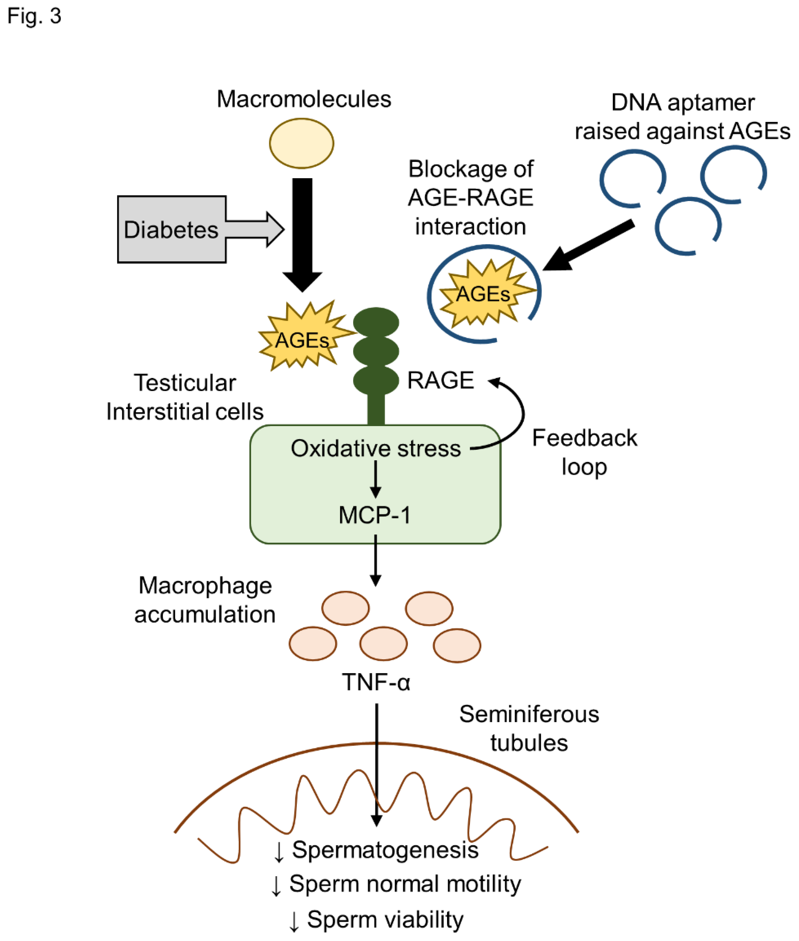 Preprints 105130 g003
