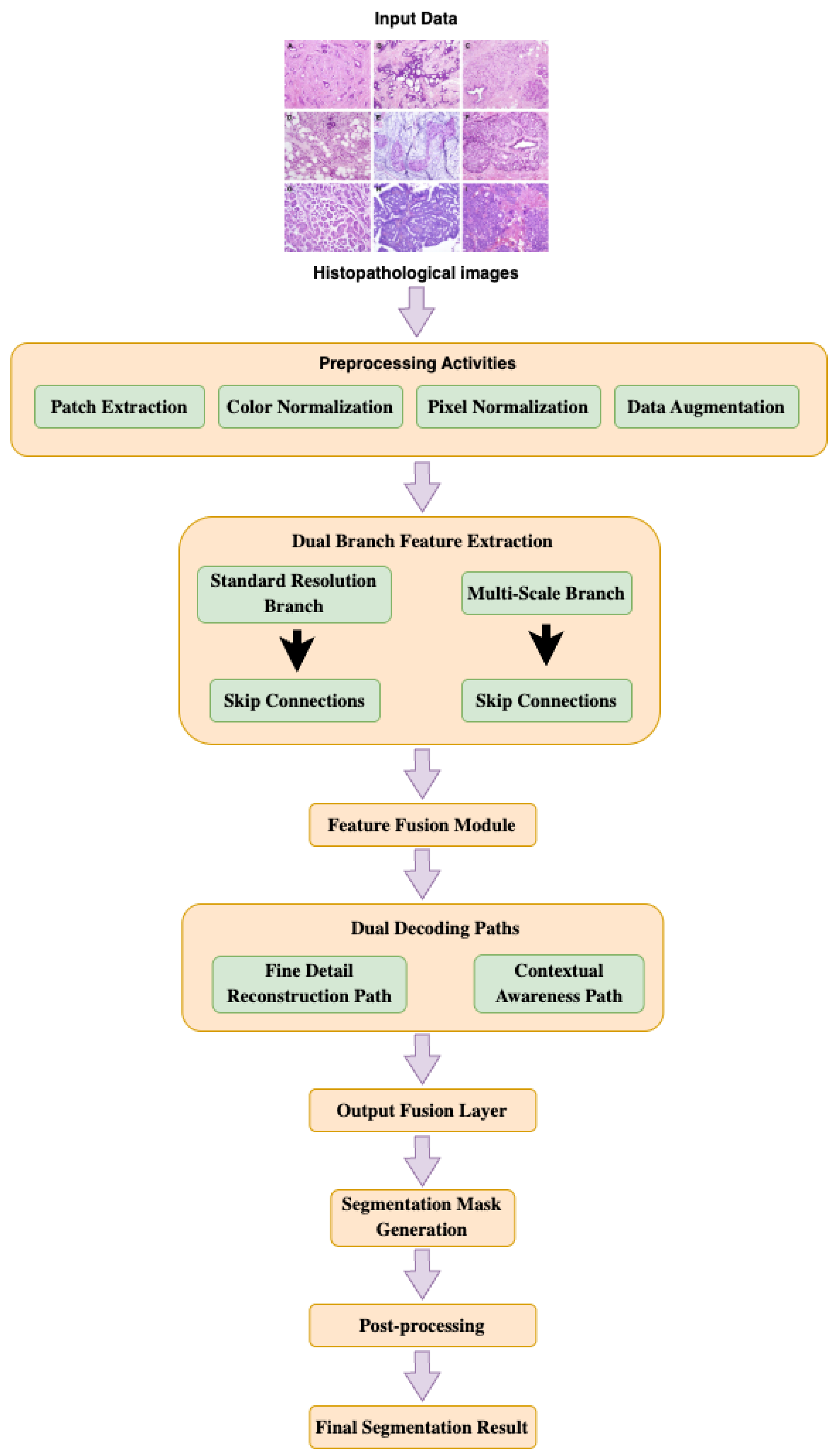 Preprints 193518 g001