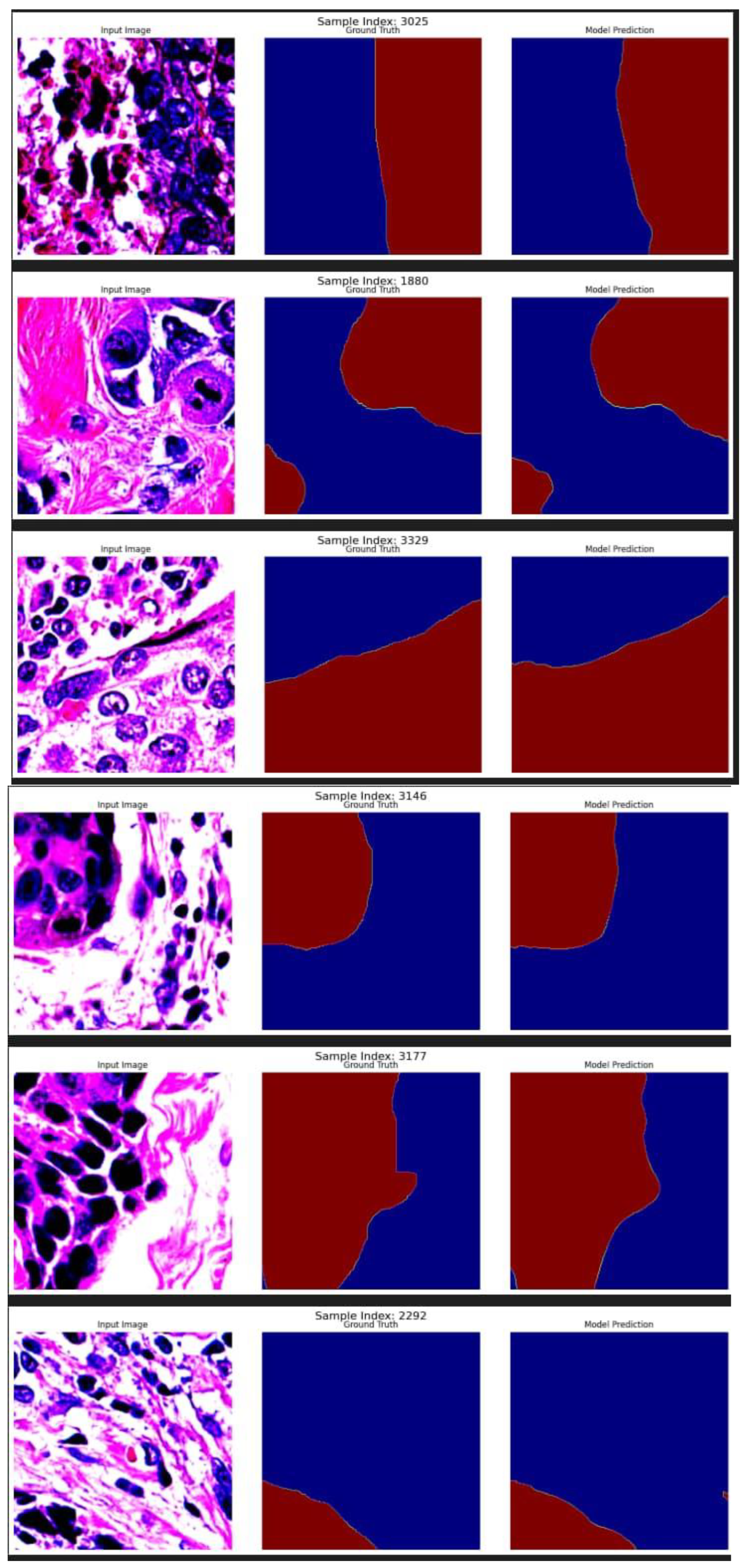 Preprints 193518 g005