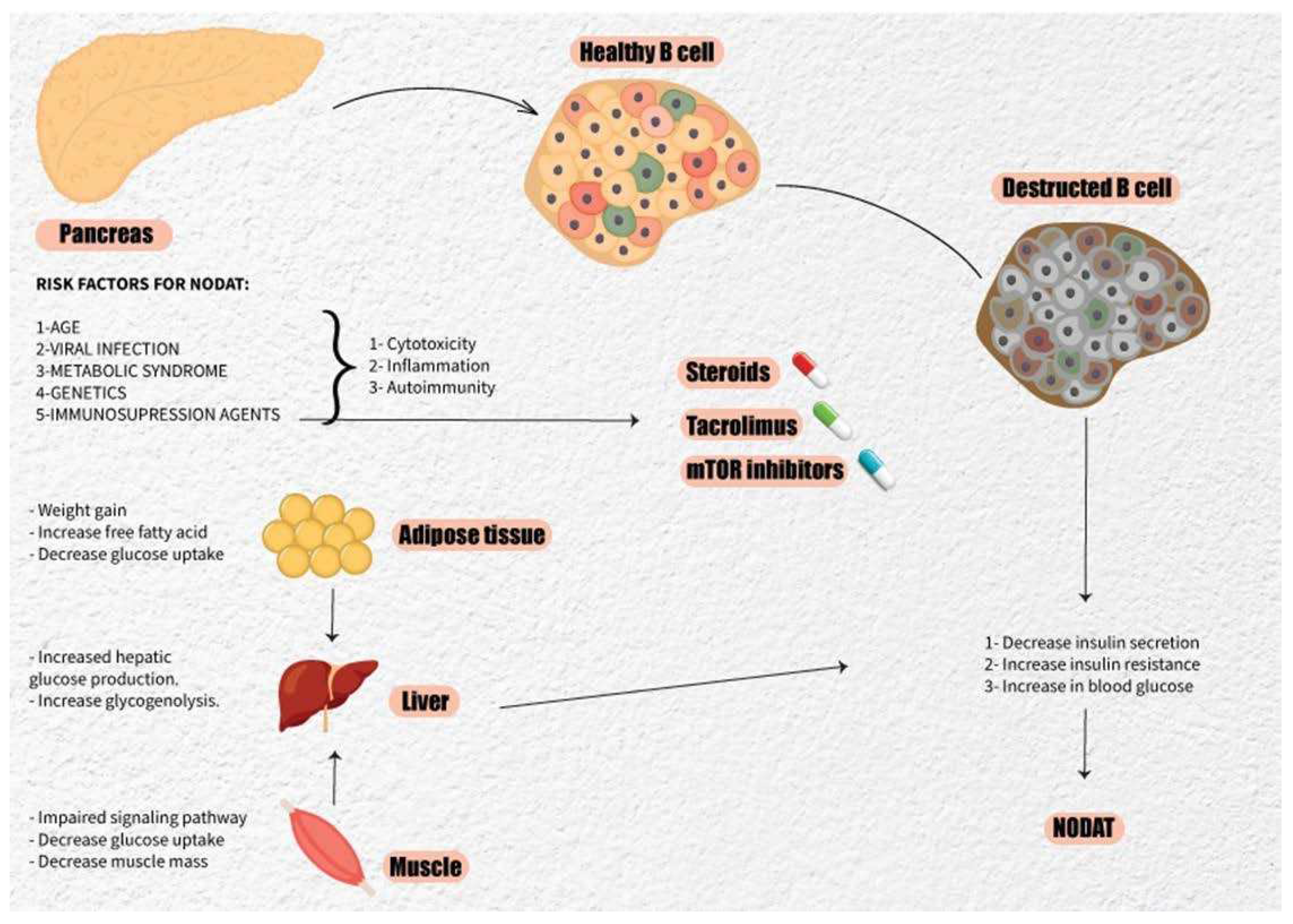 Preprints 98255 g001