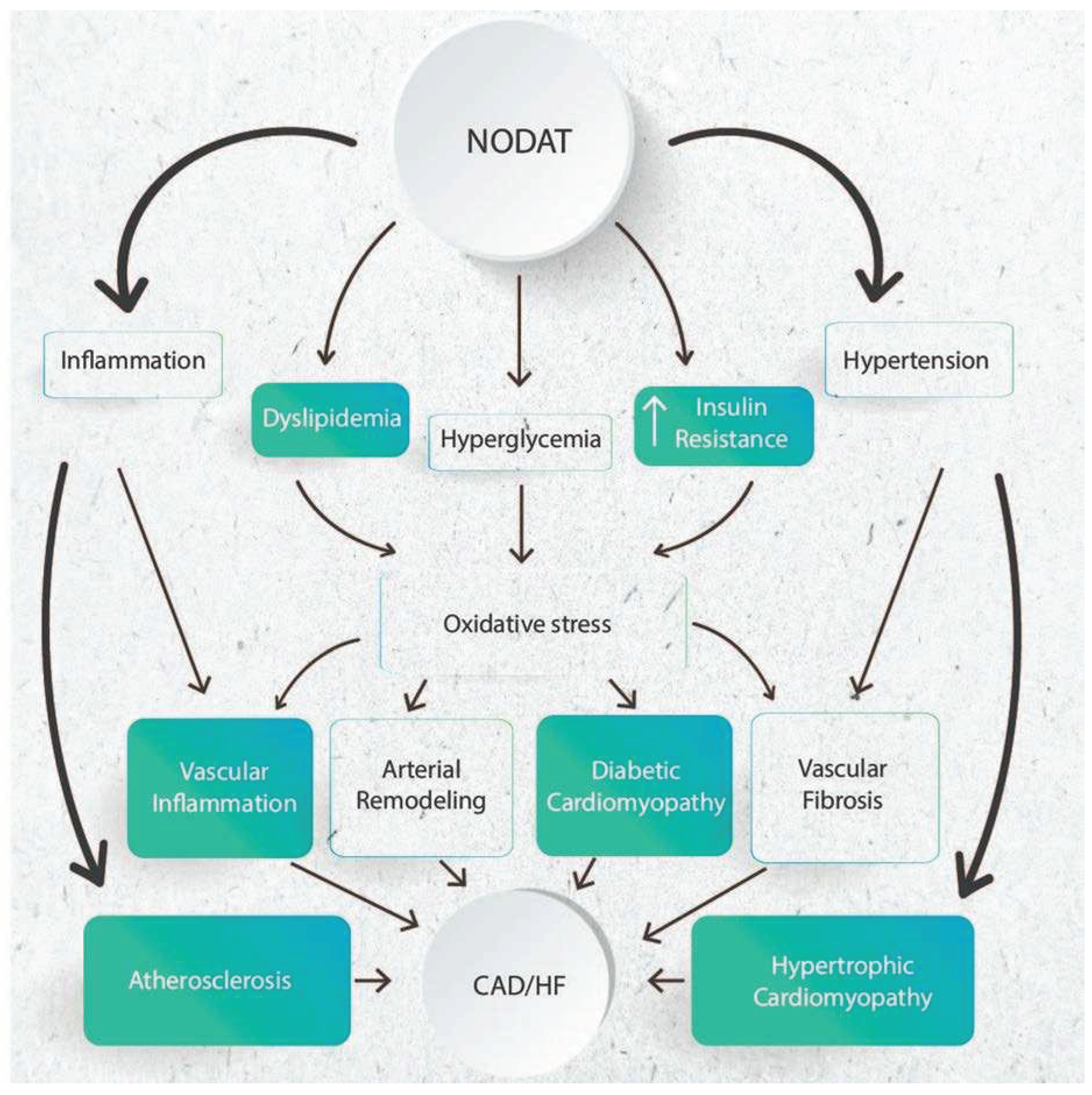 Preprints 98255 g002
