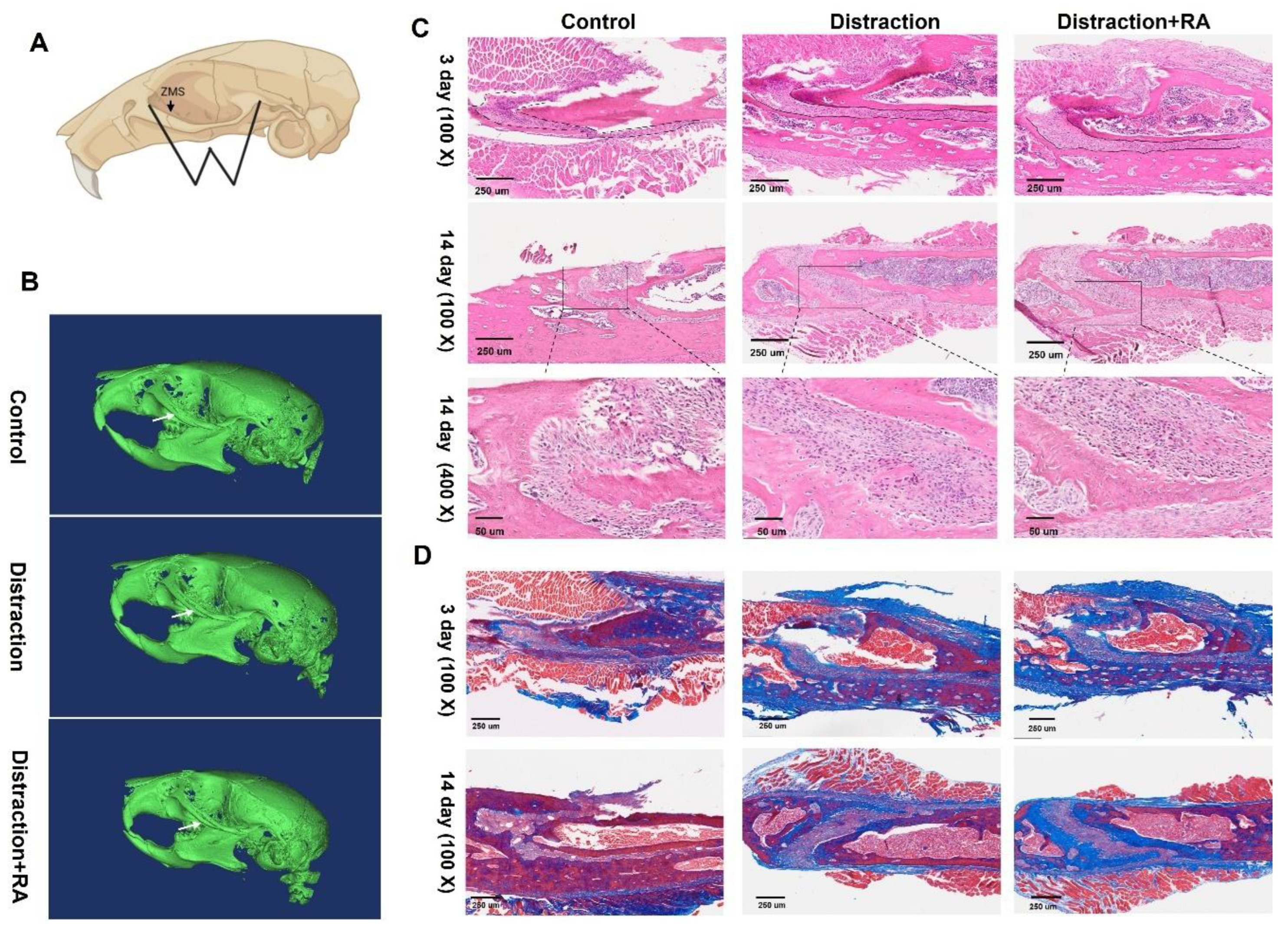 Preprints 148786 g001