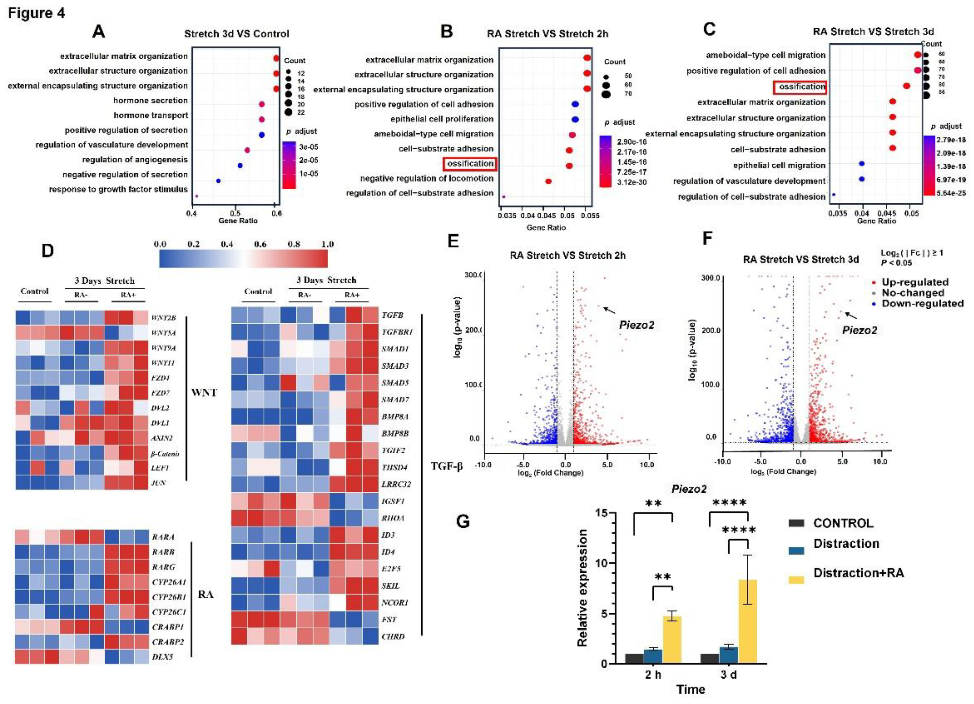 Preprints 148786 g004