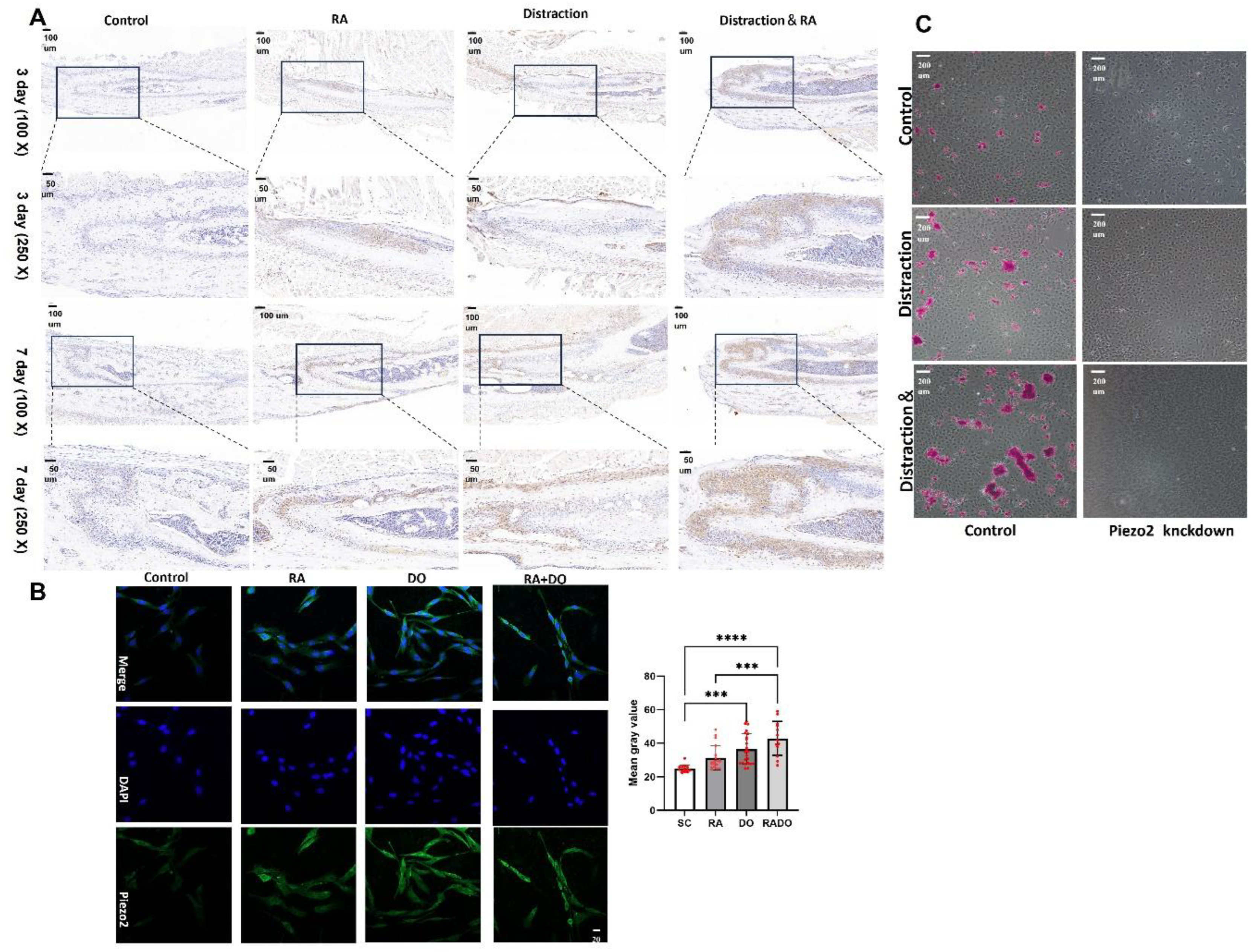 Preprints 148786 g005