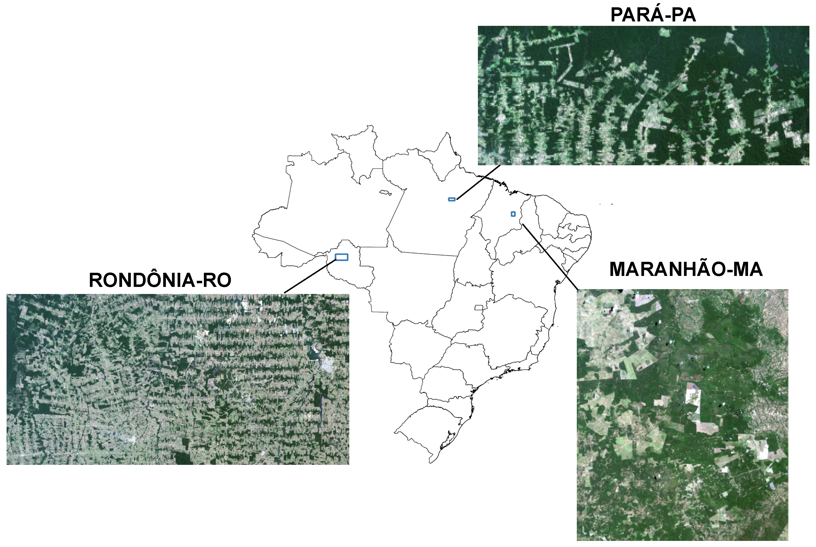 Preprints 151759 g005