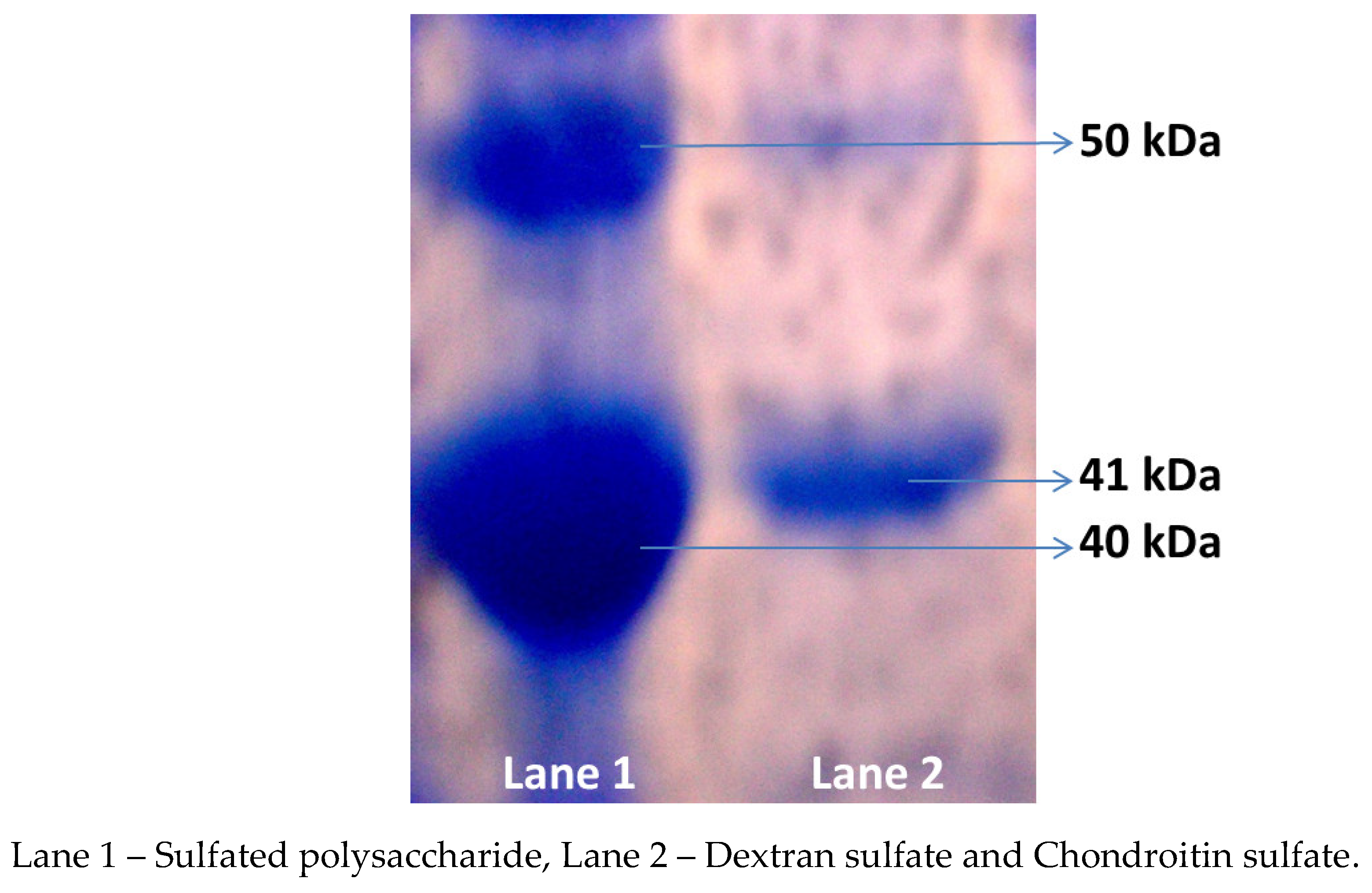Preprints 91306 g001