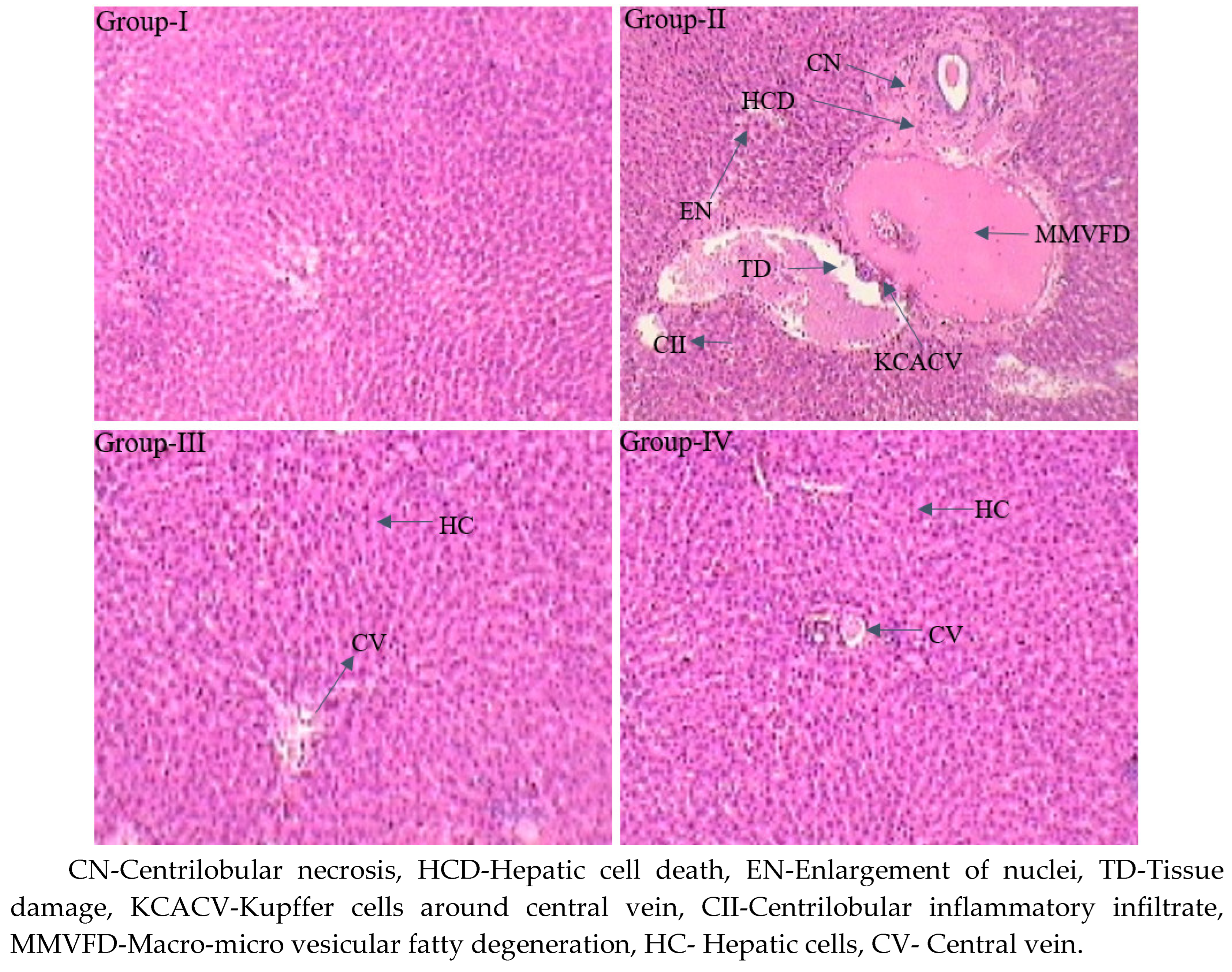 Preprints 91306 g007
