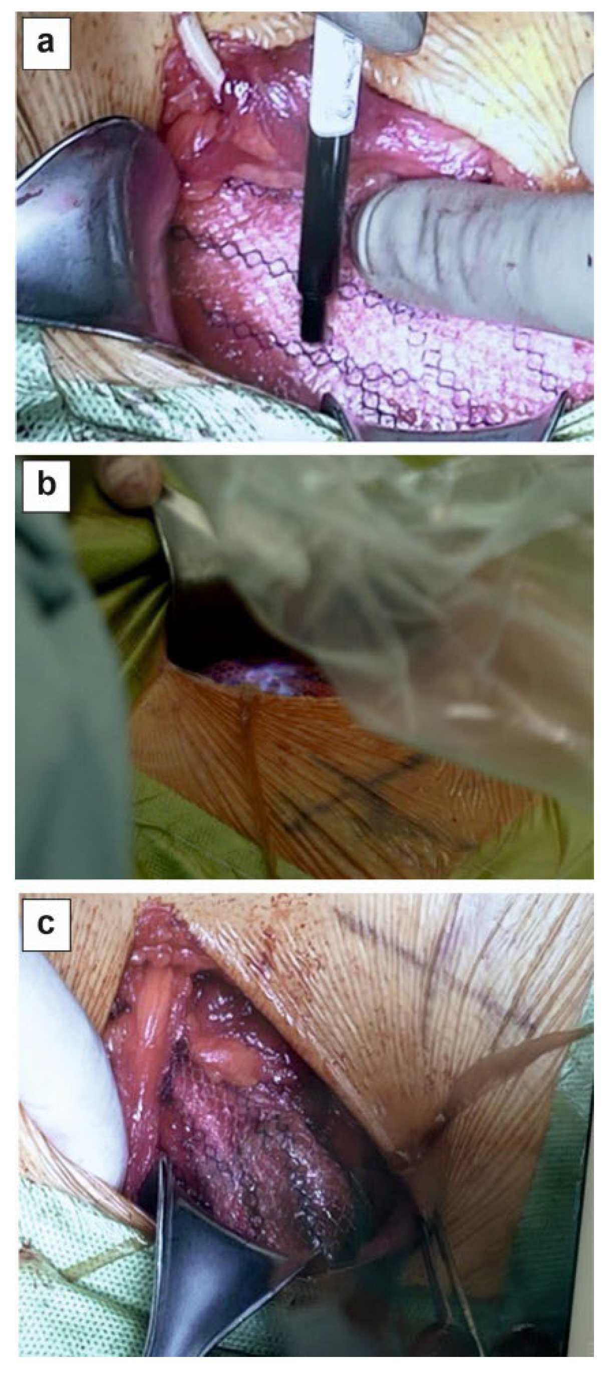 Preprints 201338 g002